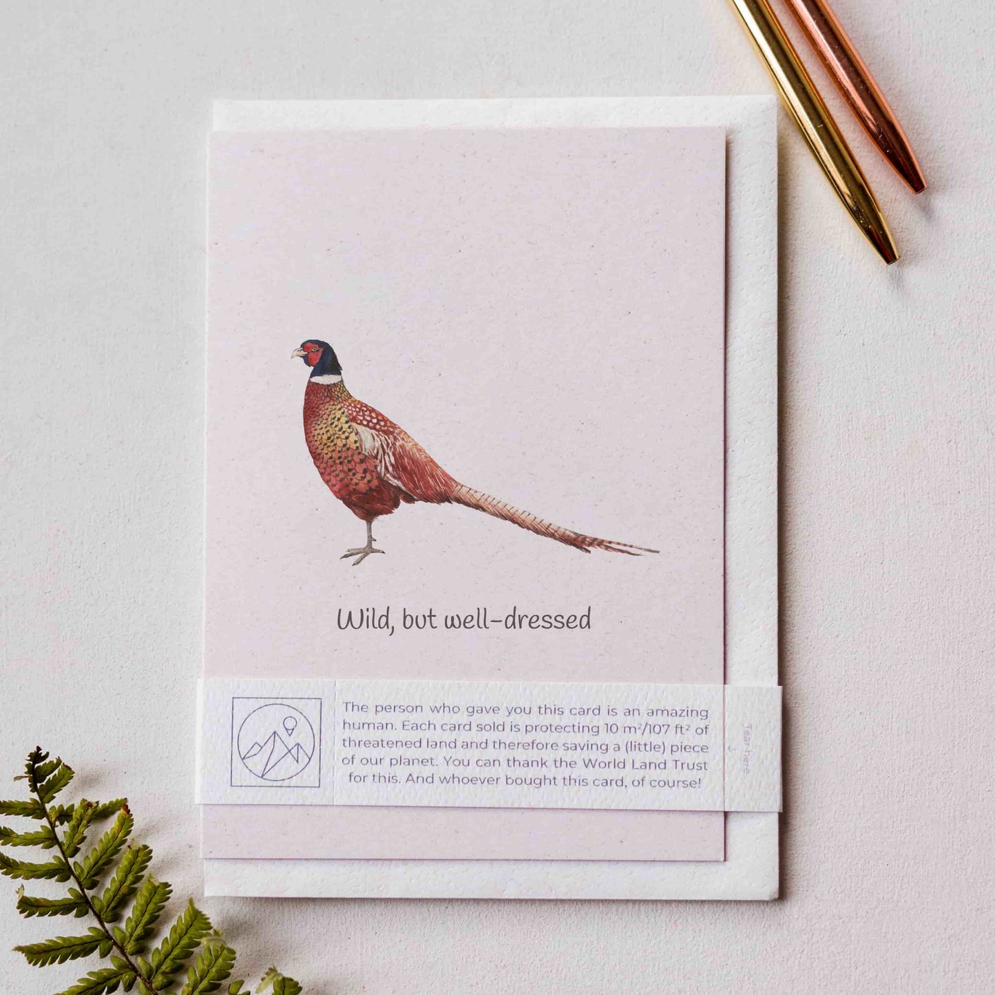 Celebration card that gives back with a pheasant illustration on a light background