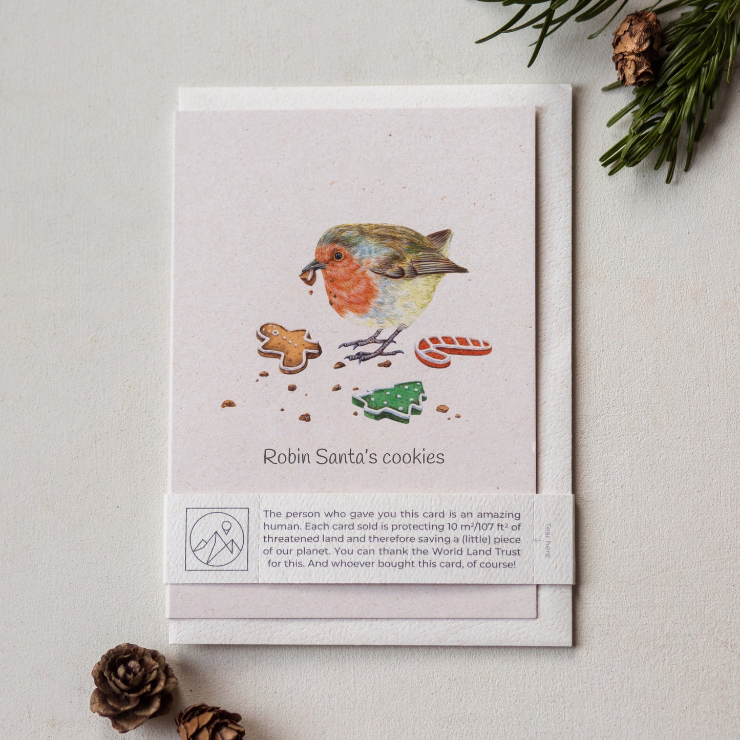 Robin illustrated Christmas greeting card with recycled envelope and paper band, sustainable wildlife charity festive card