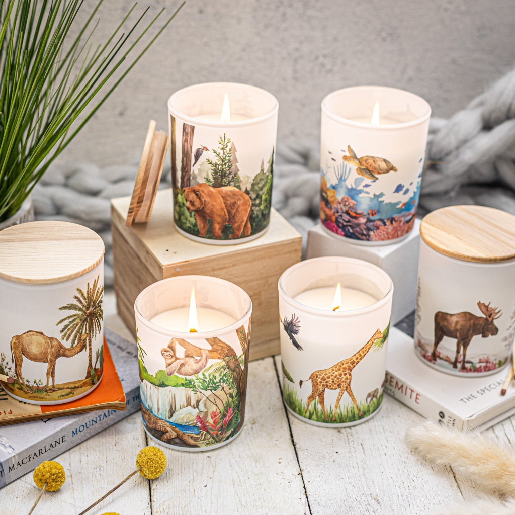 Save The Planet soy candle collection featuring nature-inspired designs. Sustainable, vegan candles designed as meaningful eco gifts.