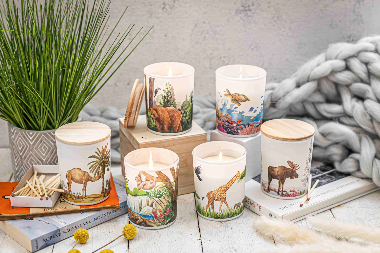 Save The Planet soy scented candle collection featuring nature-inspired designs