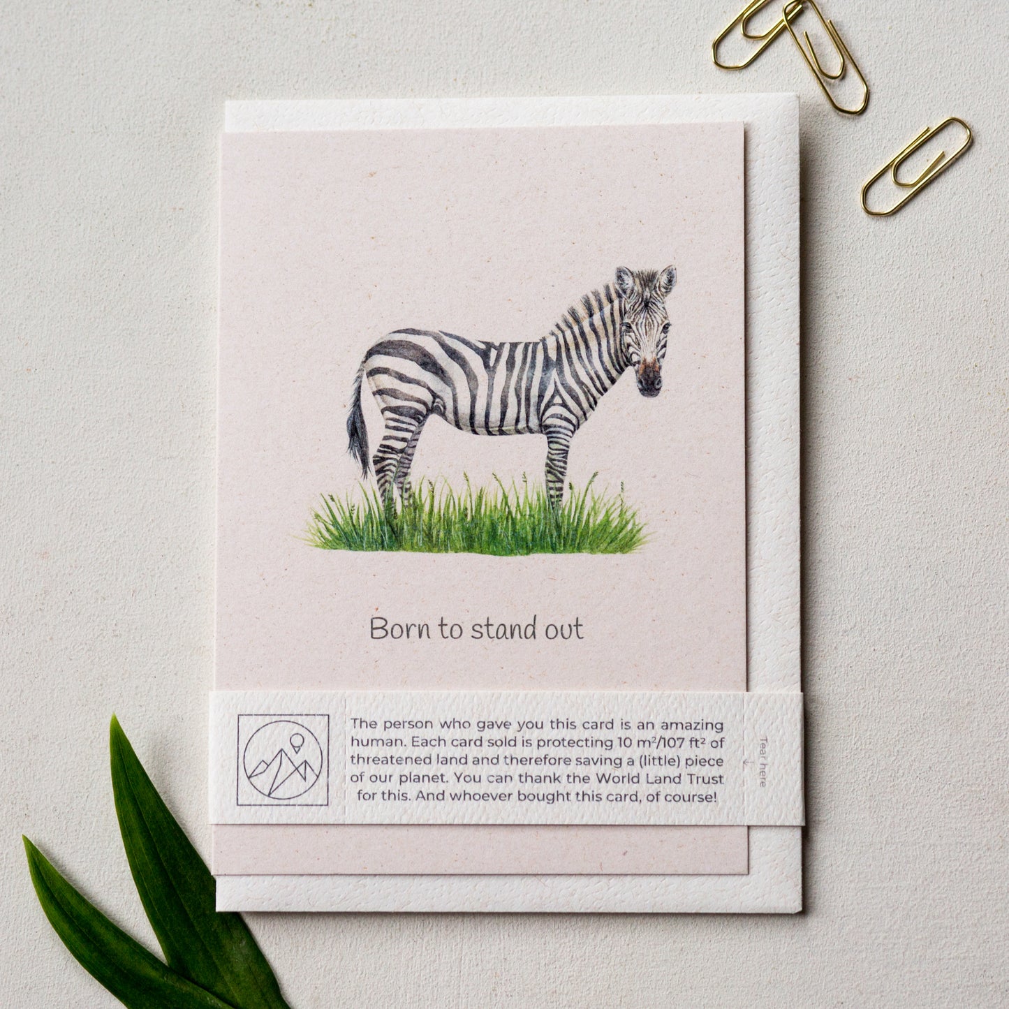 Animal Lover Charity Greeting Card