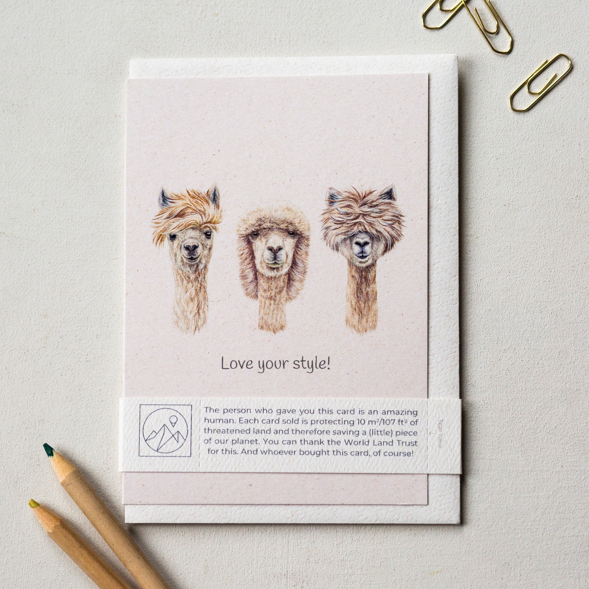 Alpaca illustrated wildlife charity greeting card with envelope and plastic free paper band, cute animal lover card