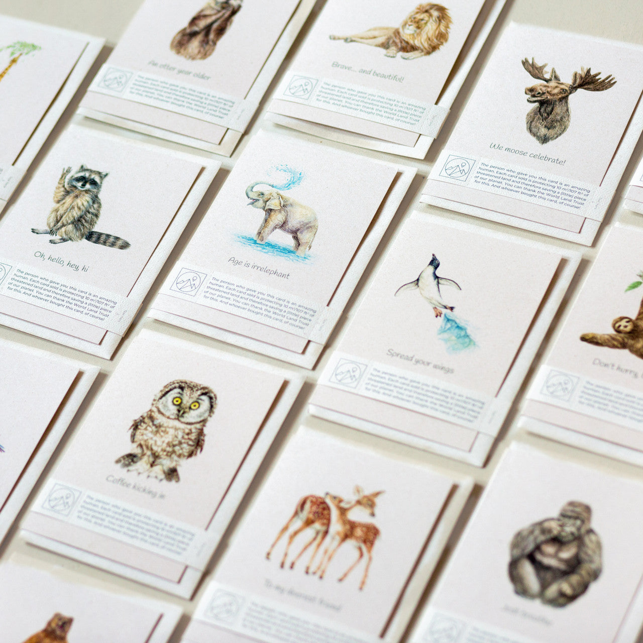 Animal illustration greeting cards arranged diagonally on a table, eco friendly wildlife charity greeting cards for animal lovers