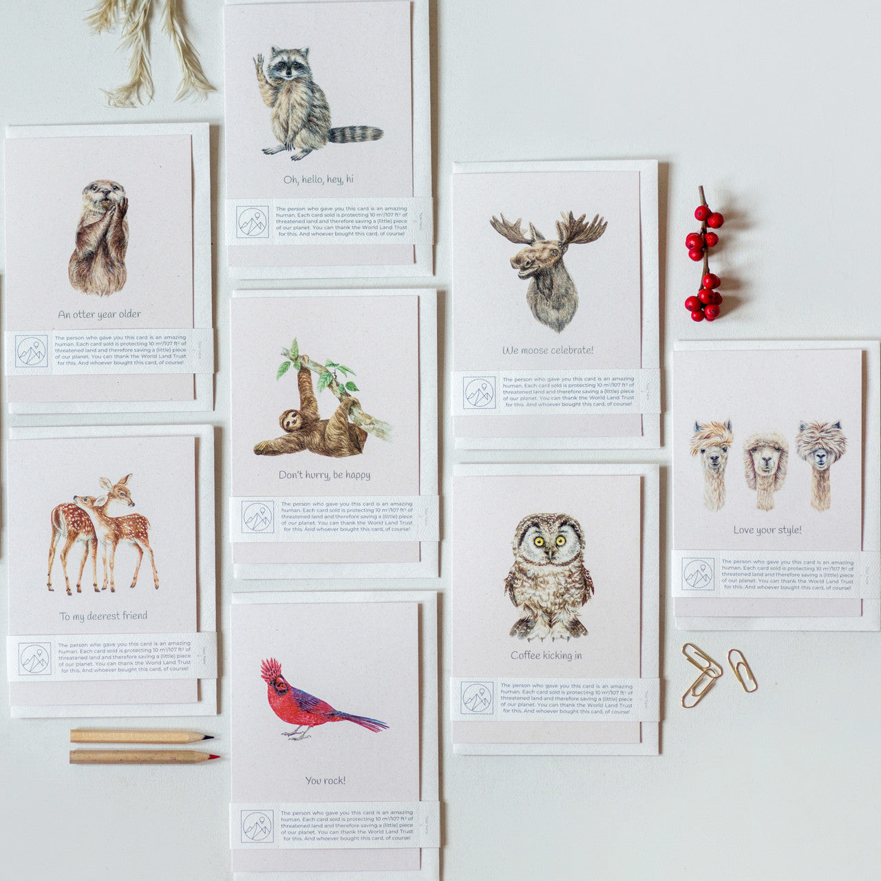 Eight animal illustration greeting cards laid flat on table, eco friendly wildlife charity cards for animal lovers