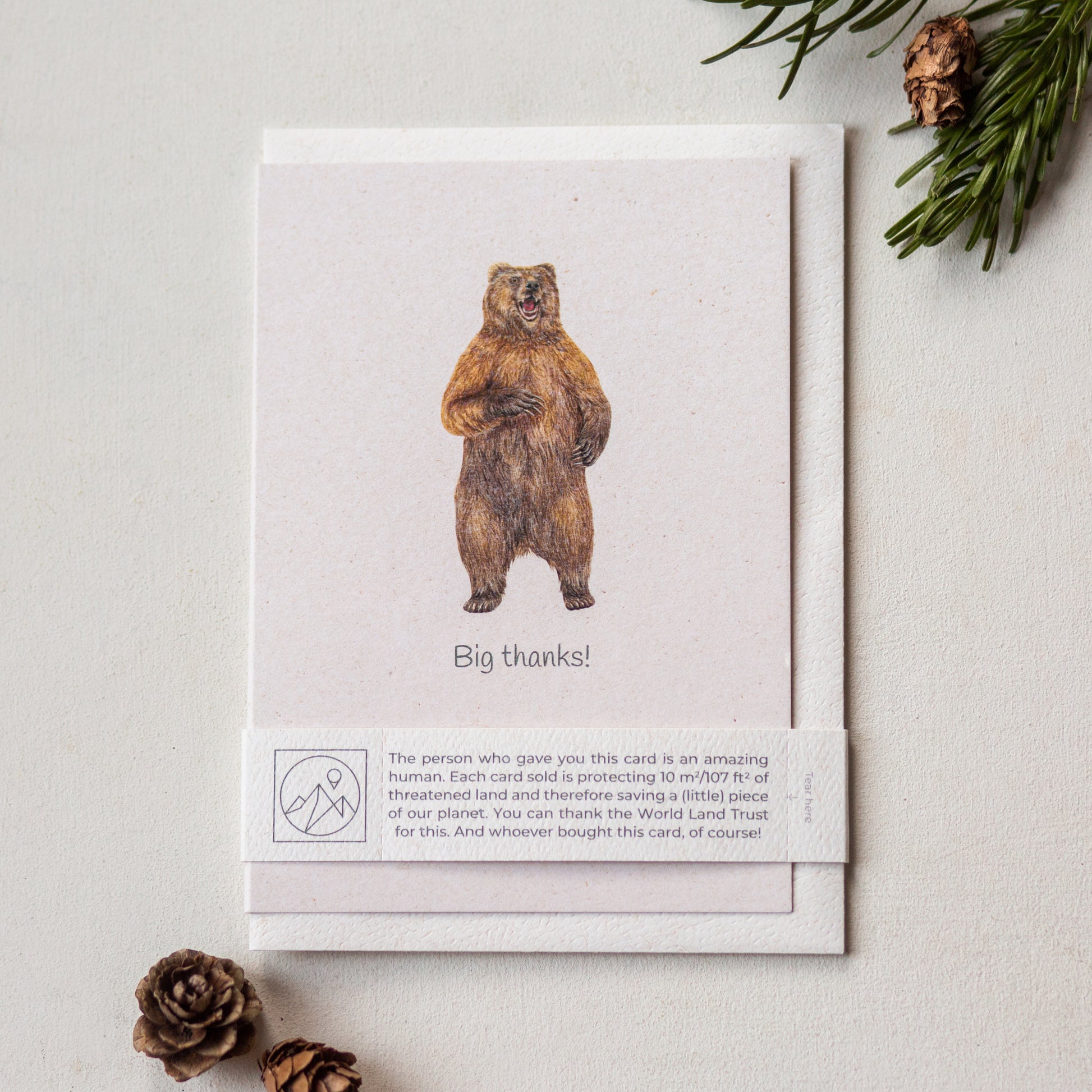 Bear thank you greeting card with recycled envelope and paper band, sustainable animal lover charity card