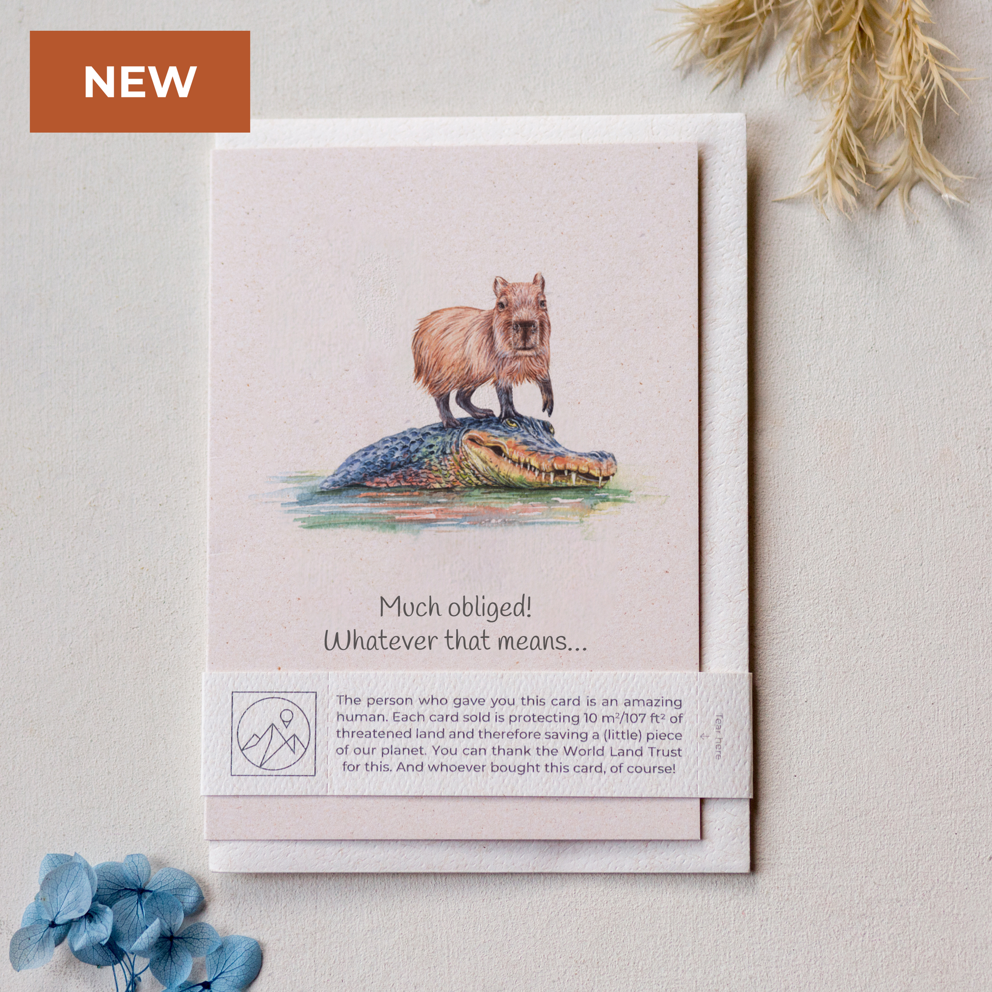 Capybara illustration thank you greeting card printed on recycled paper, cute eco friendly card for animal lovers