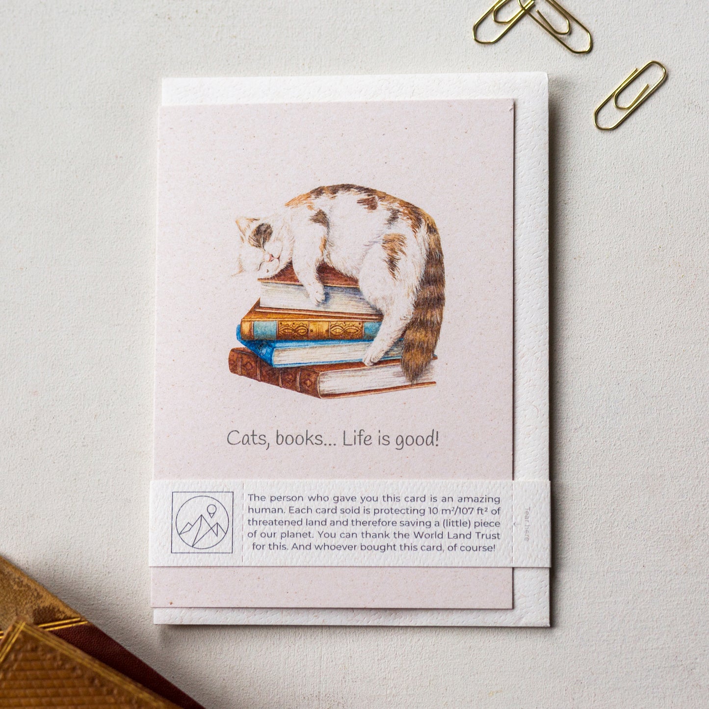 Hand painted cat and book lover greeting card laid flat with envelope and paper band, cute animal lover card