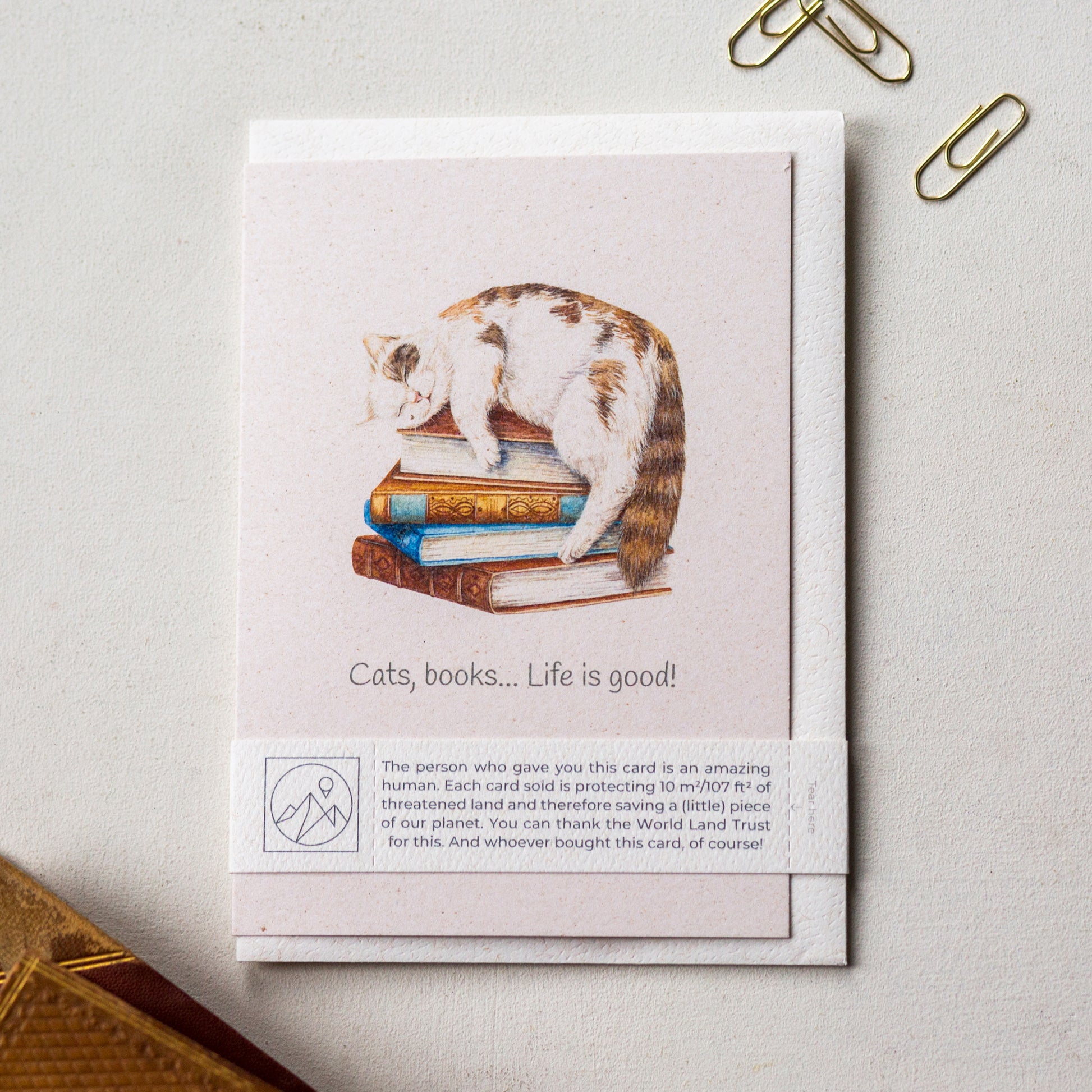 Hand painted cat and book lover greeting card laid flat with envelope and paper band, cute animal lover card