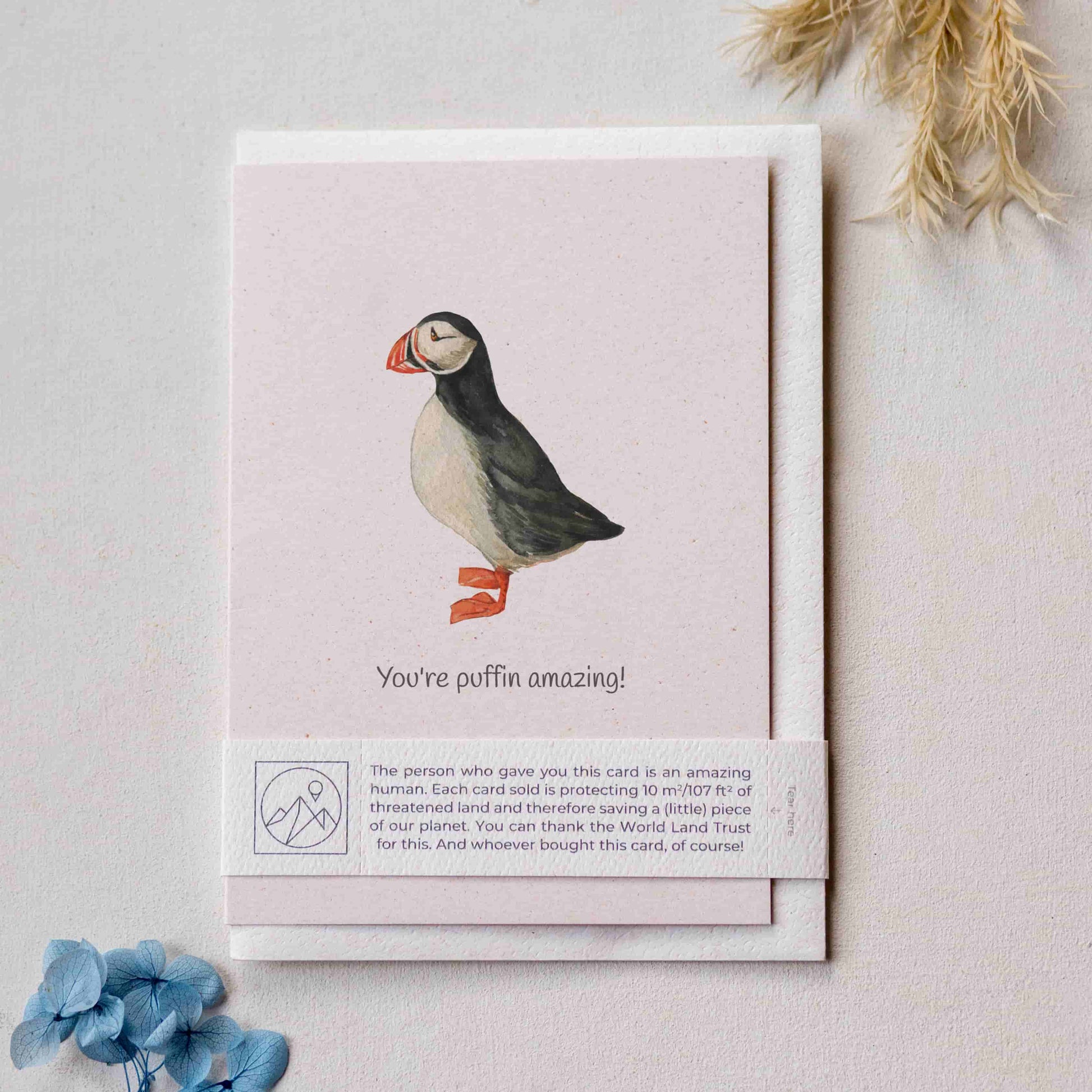 Card with a puffin illustration and the phrase 'You're puffin amazing' with a matching envelope and paper band.