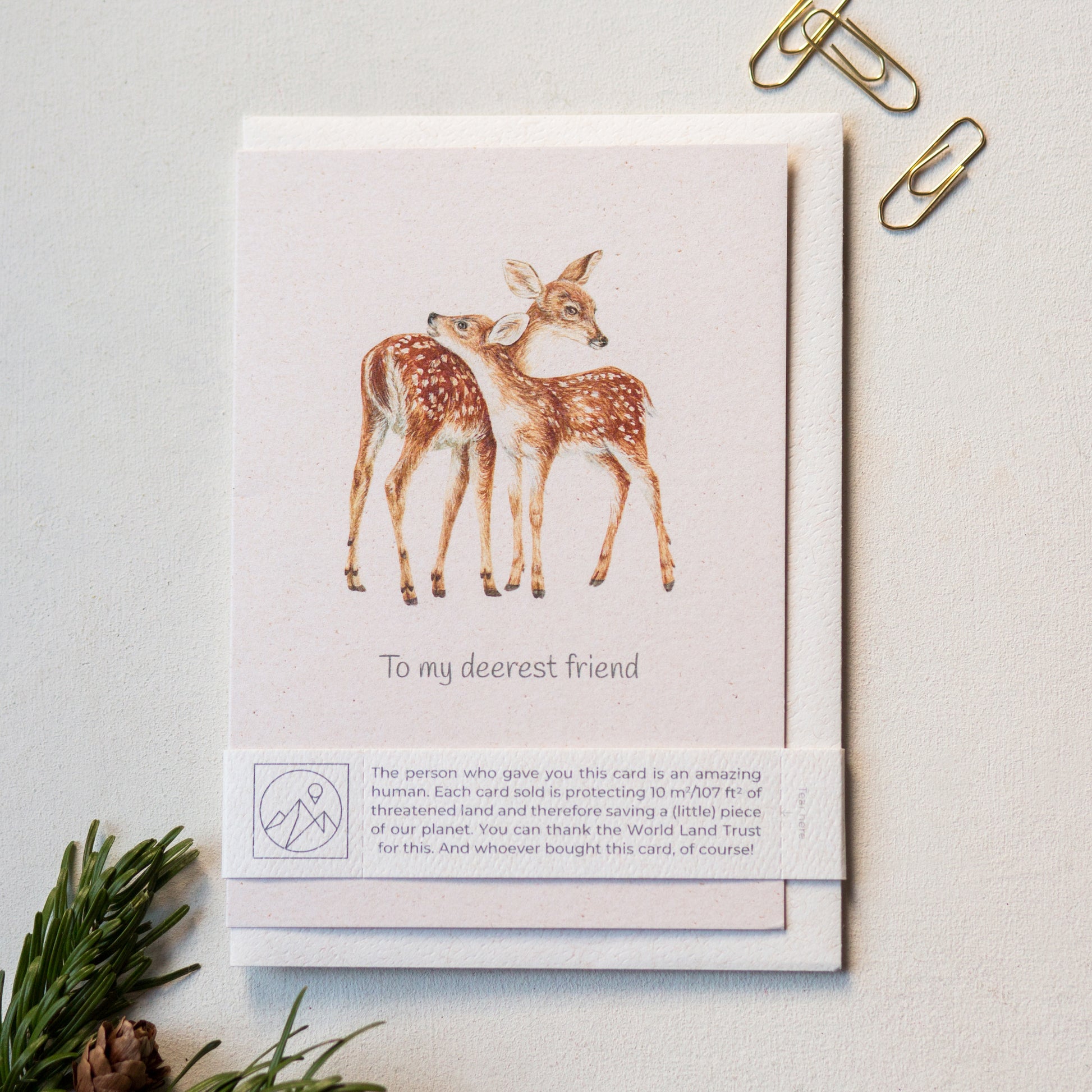 Deer wildlife charity greeting card with recycled envelope and plastic free band, eco friendly stationery