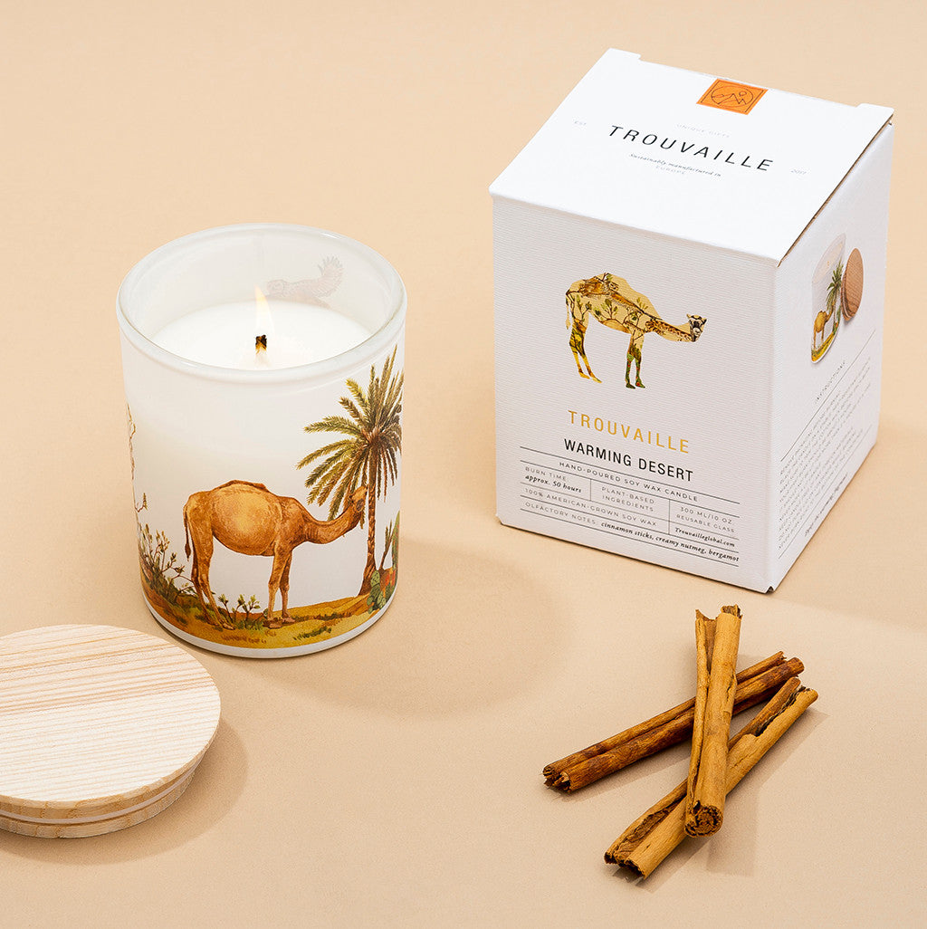 Desert biome sustainable soy candle with illustrated gift box packaging and cinnamon sticks, nature-inspired home fragrance gift.