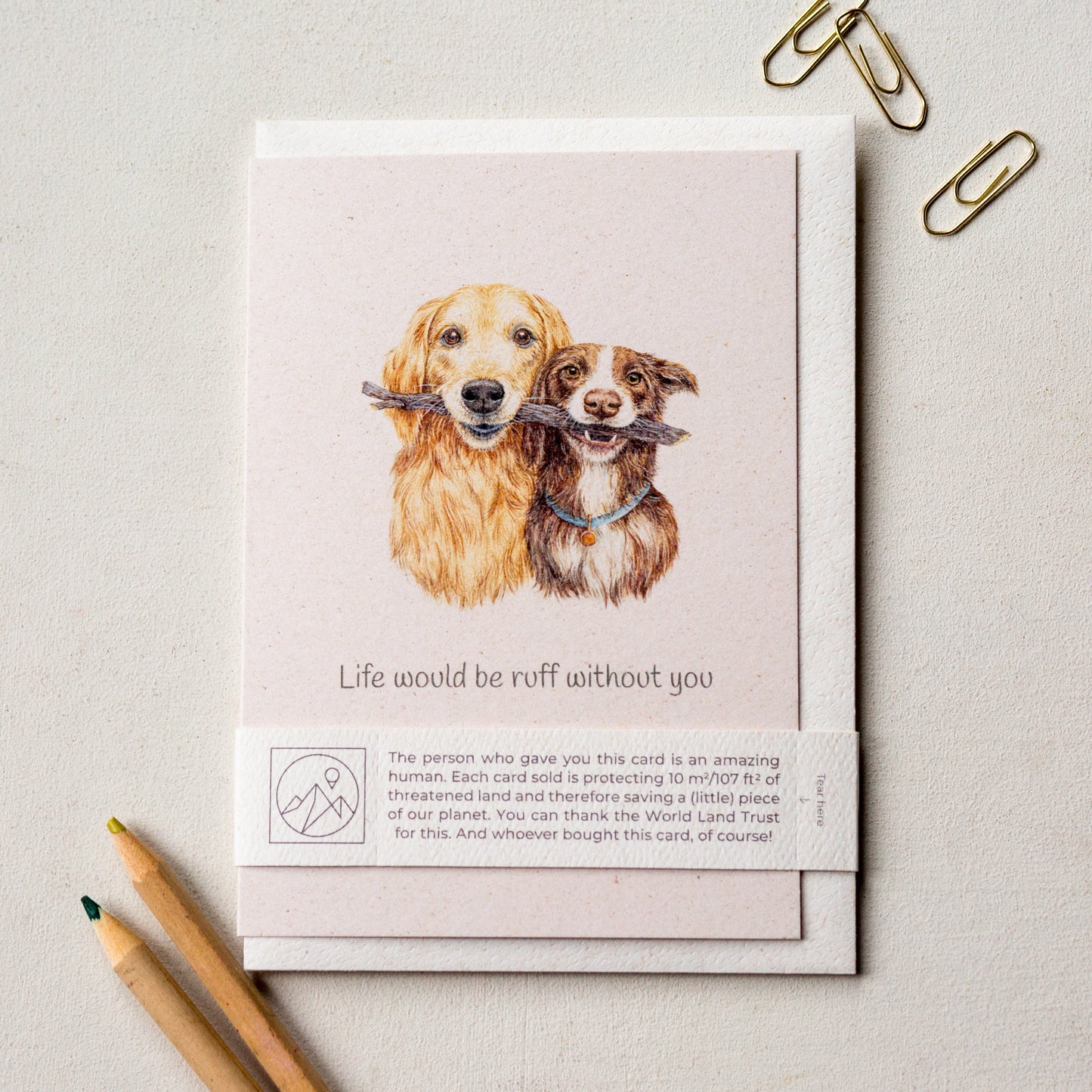 Hand painted dog greeting card laid flat with recycled envelope and paper band, cute golden retriever and spaniel card