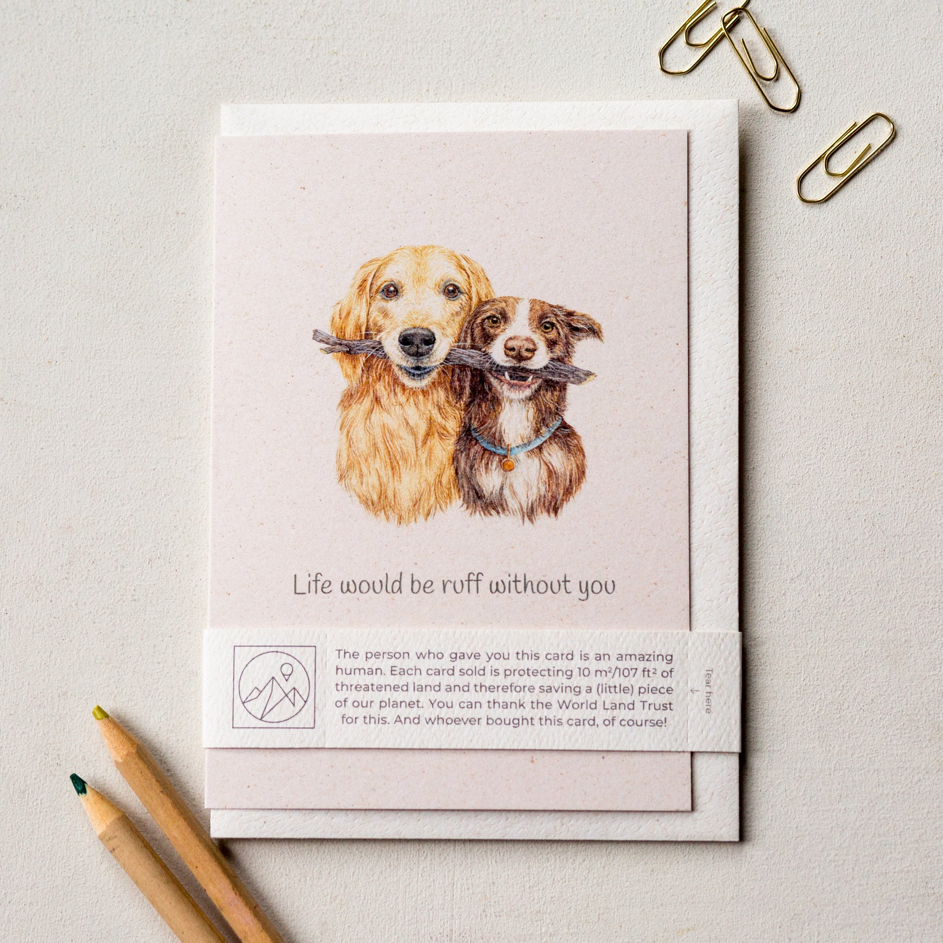 Hand painted dog greeting card laid flat with recycled envelope and paper band, cute golden retriever and spaniel card
