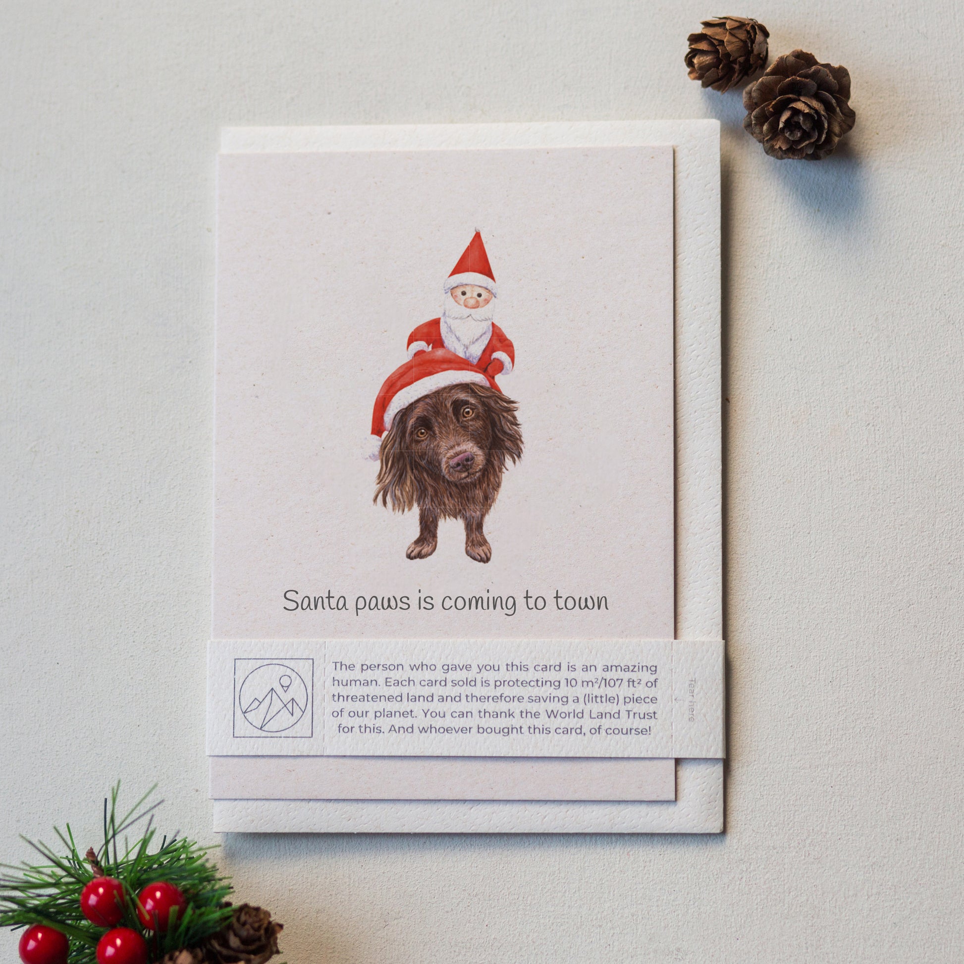 Hand painted Santa Paws dog Christmas greeting card laid flat with envelope and paper band, cute festive pet card