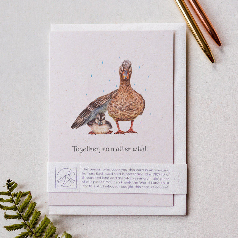 Mother and Father's day card with a duck including a matching envelope and paper band, sustainable animal lover charity card