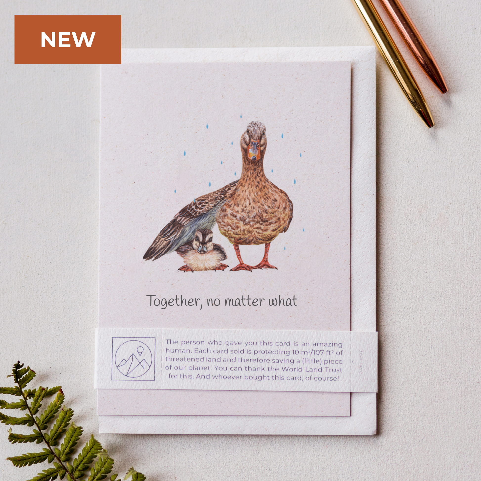 Duck Mother and Father's day card with matching envelope and paper band, sustainable animal lover charity card