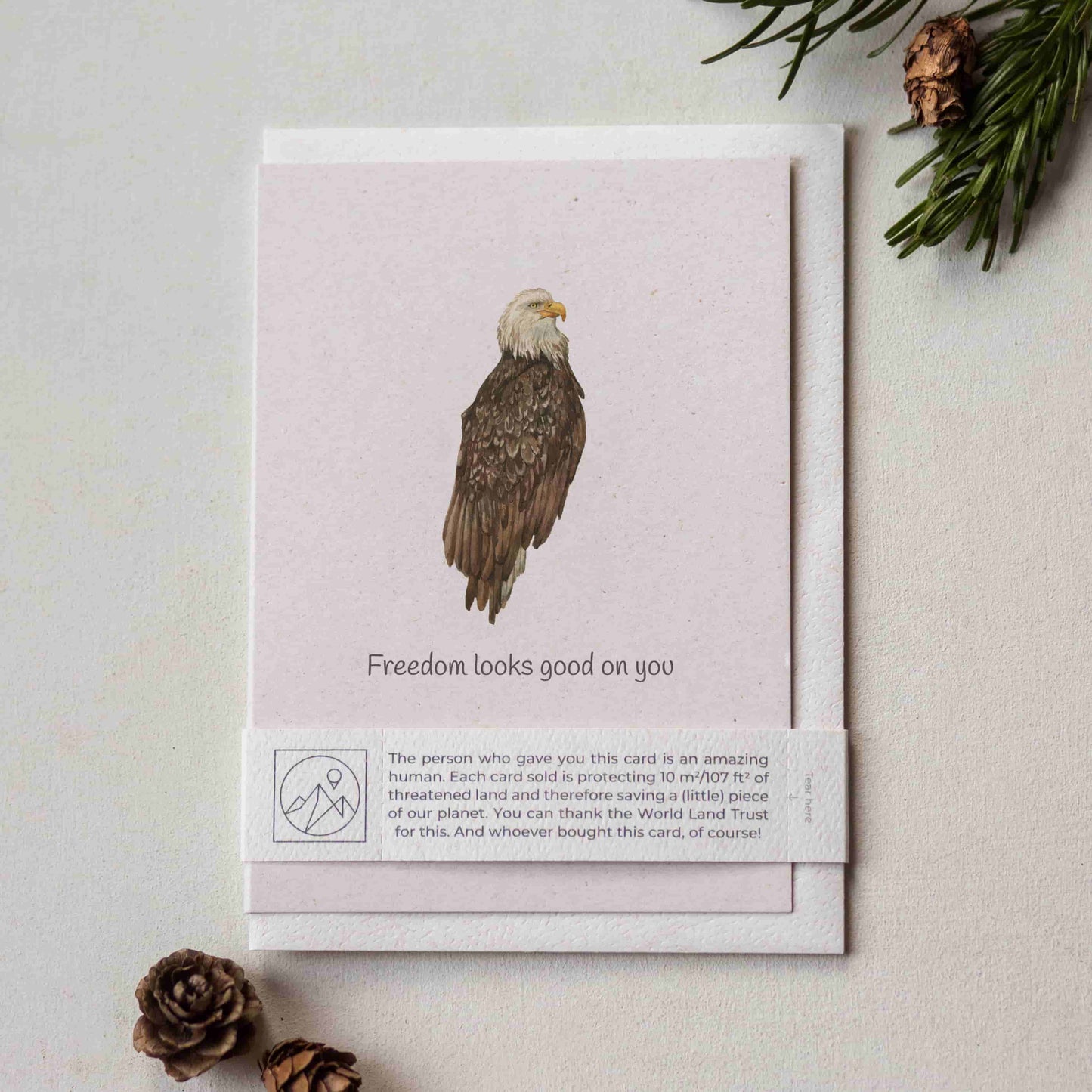 Card with an eagle illustration and the phrase 'Freedom looks good on you' on a light surface
