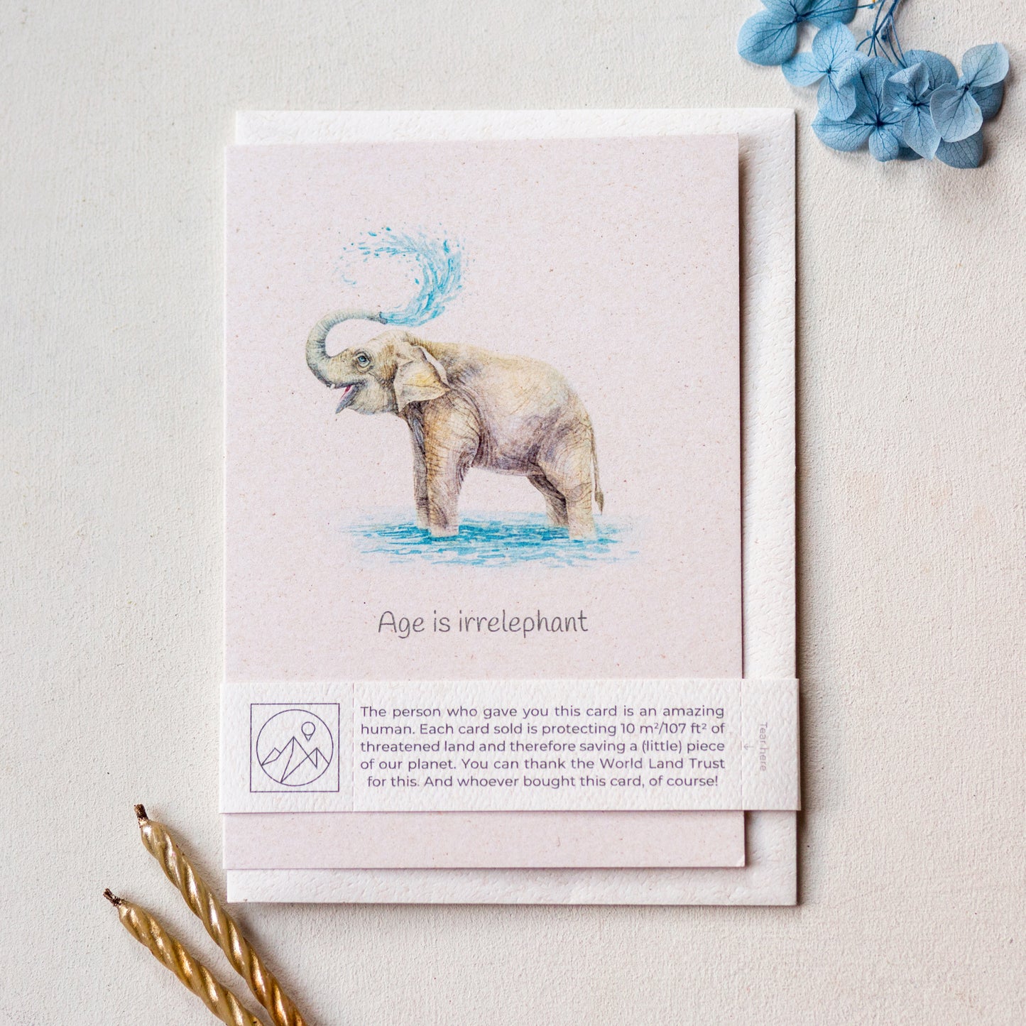 Elephant birthday greeting card with recycled envelope and plastic free band, cute wildlife charity card