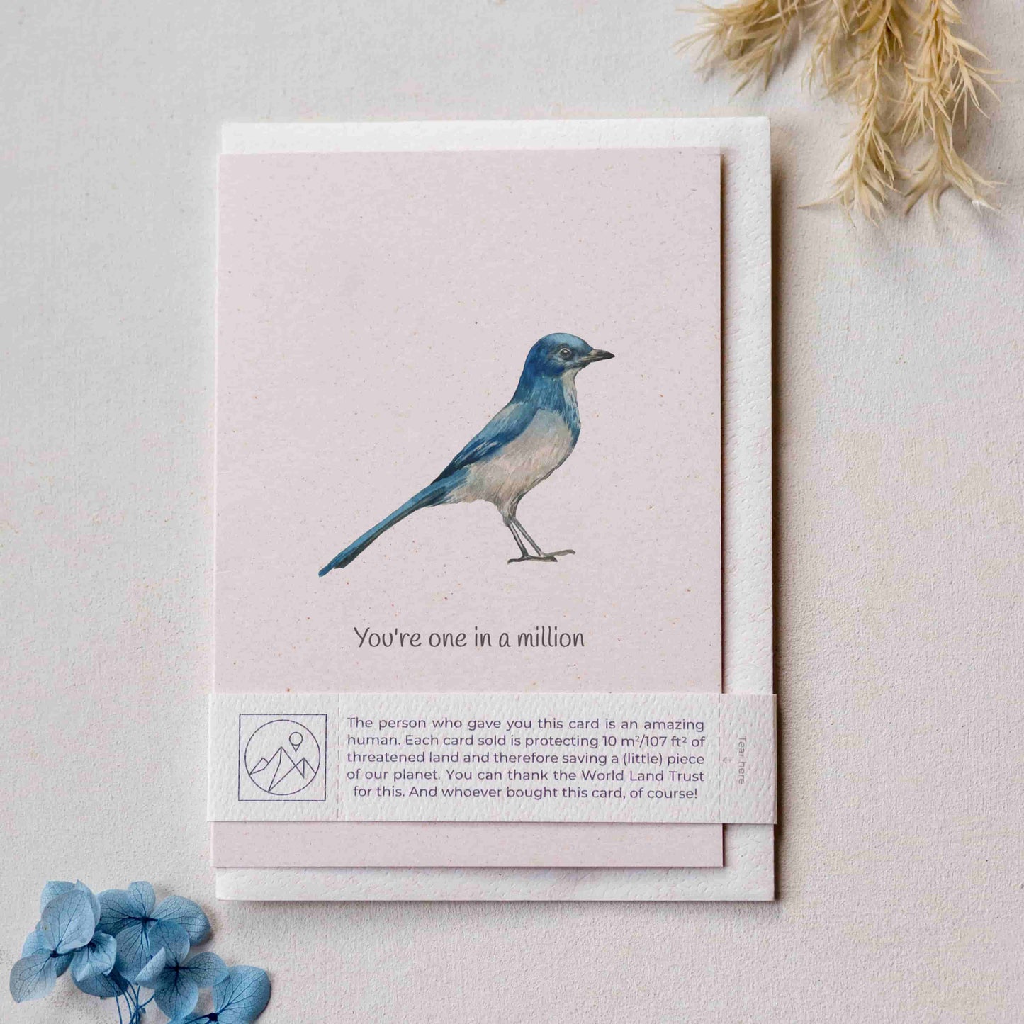 Card with a Florida Jay bird illustration and the phrase 'You're one in a million' on a light background