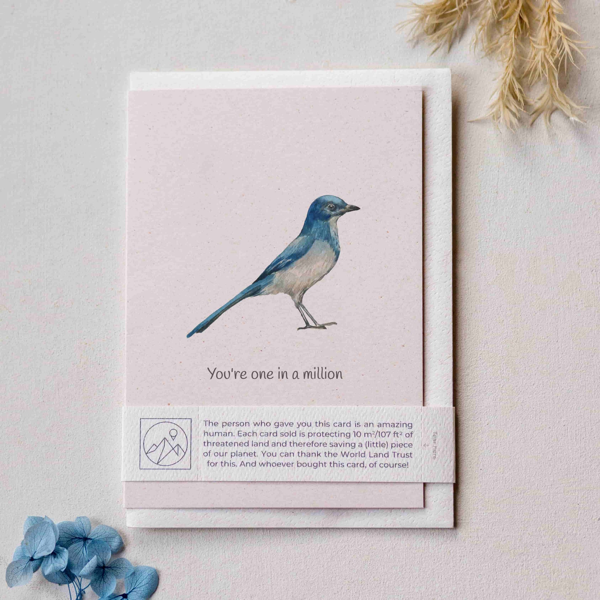 Card with a Florida Jay bird illustration and the phrase 'You're one in a million' on a light background