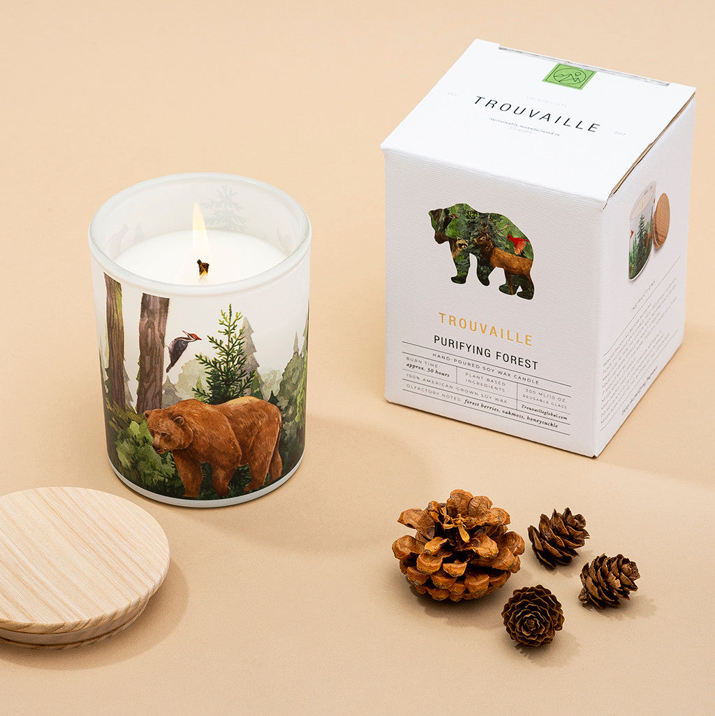 Forest biome sustainable soy candle with wooden lid, illustrated gift box packaging and pine cones, nature-inspired home fragrance gift.