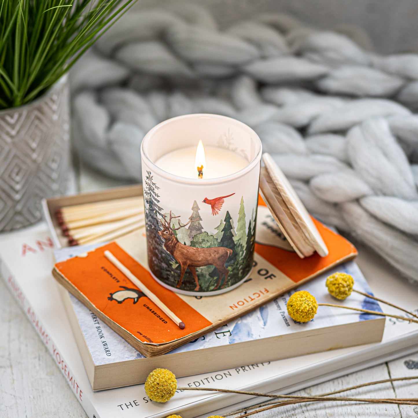 Lit Forest sustainable soy candle styled with books and natural elements, travel and nature-inspired gift.