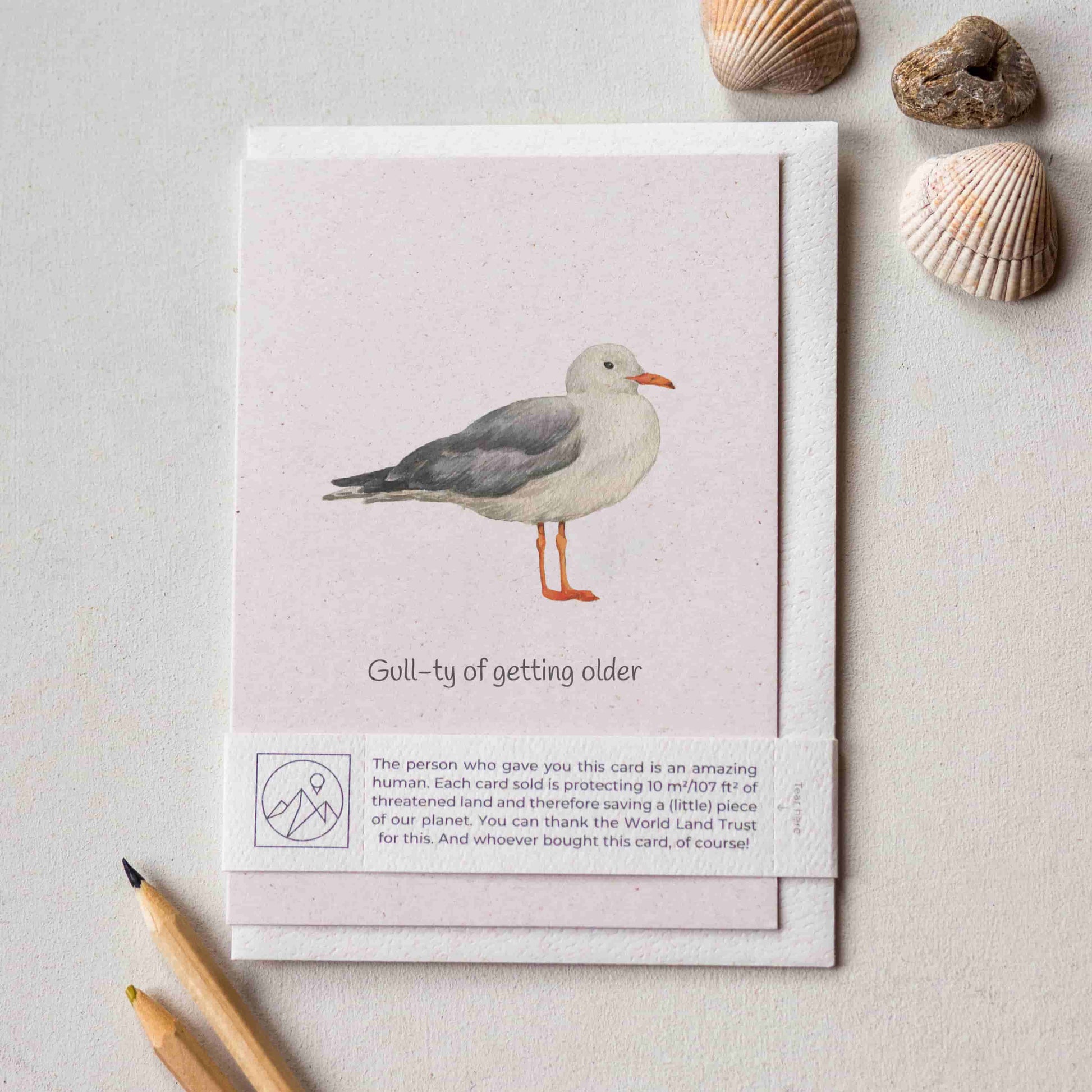Birthday card with a seagull illustration and text on a light surface with shells and pencils.