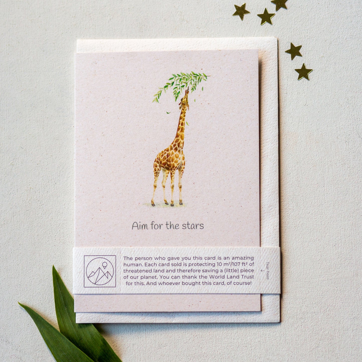 Hand painted giraffe motivational greeting card displayed flat with envelope and paper band, inspirational animal card