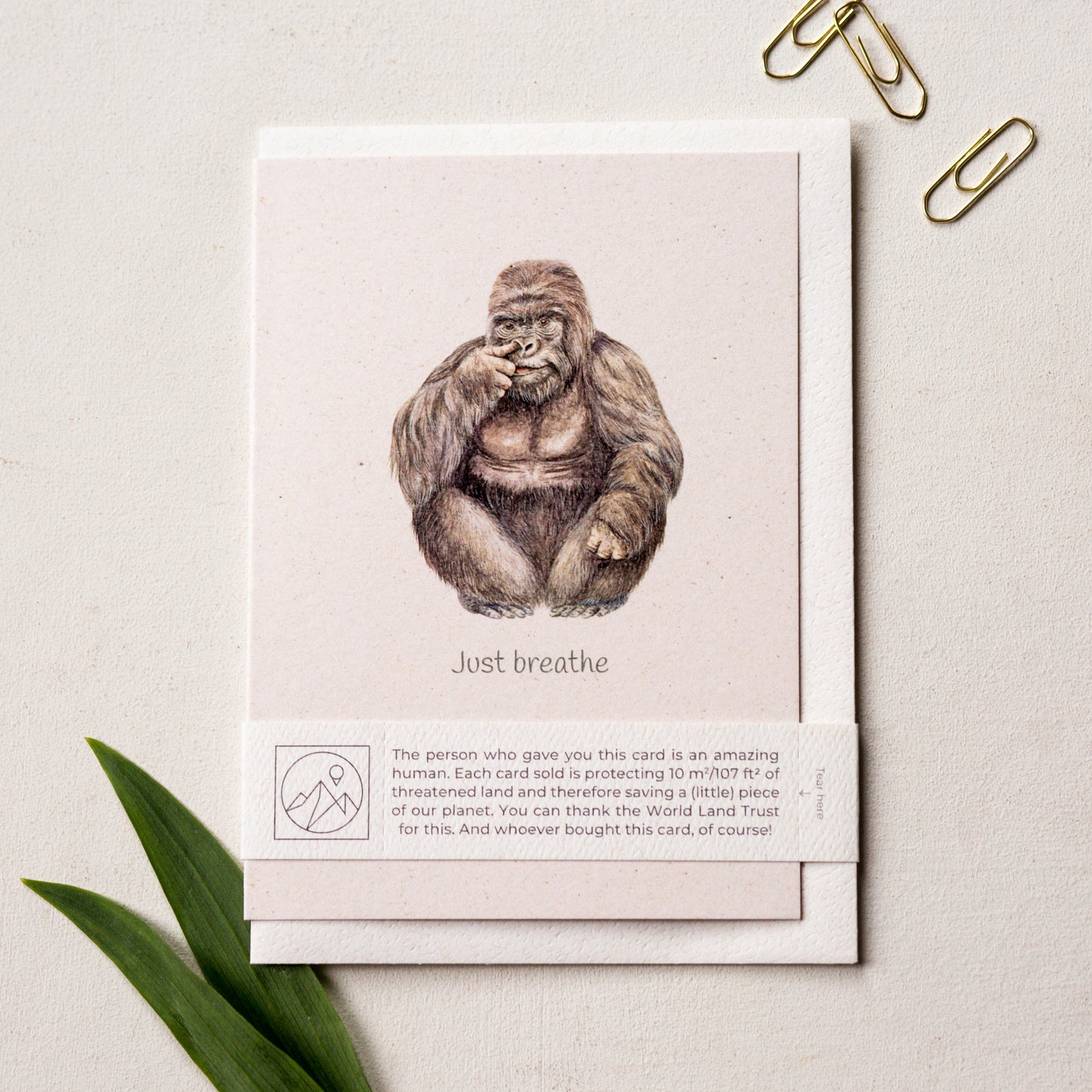 Gorilla wildlife charity greeting card with recycled envelope and plastic free band, sustainable card for stressed people