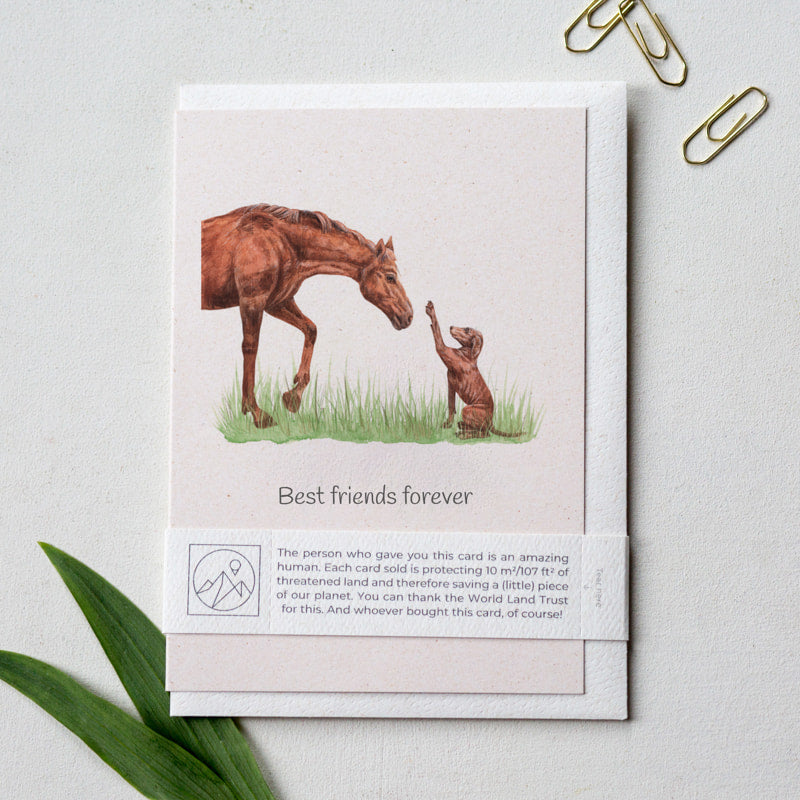 Horse and dog friendship greeting card with recycled envelope, eco friendly wildlife charity card for pet lovers