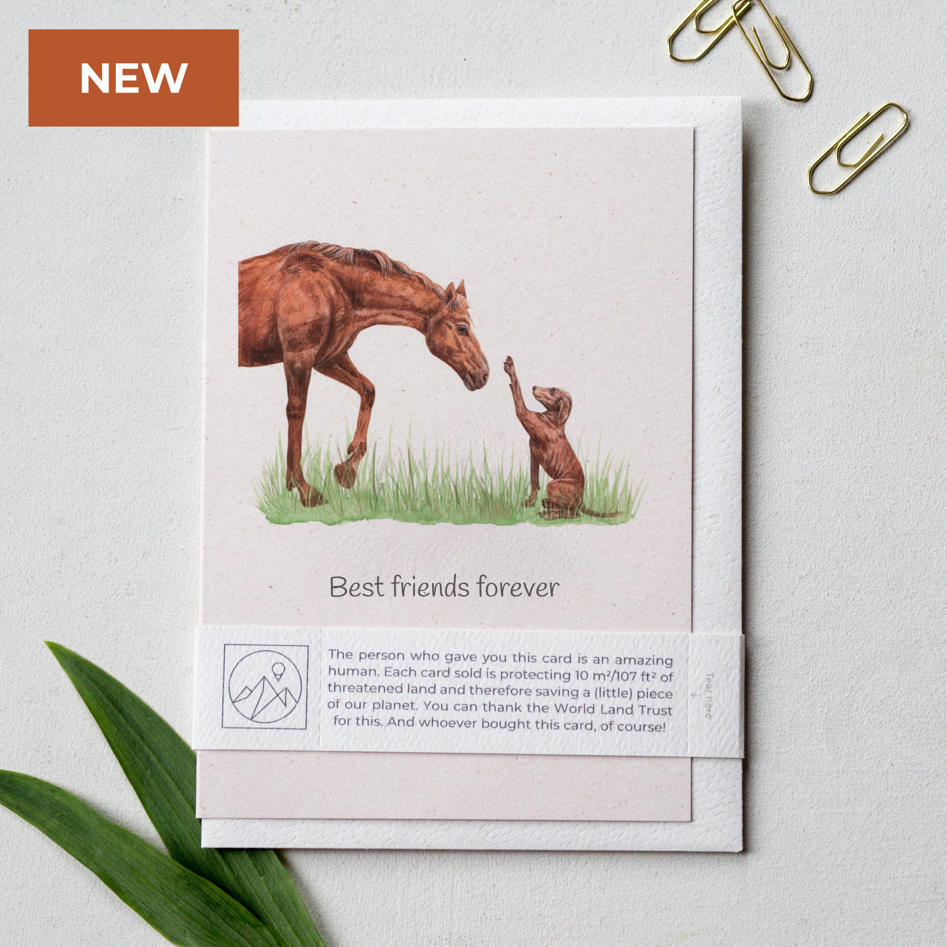 Horse and dog friendship greeting card with recycled envelope, eco friendly wildlife charity card for pet lovers