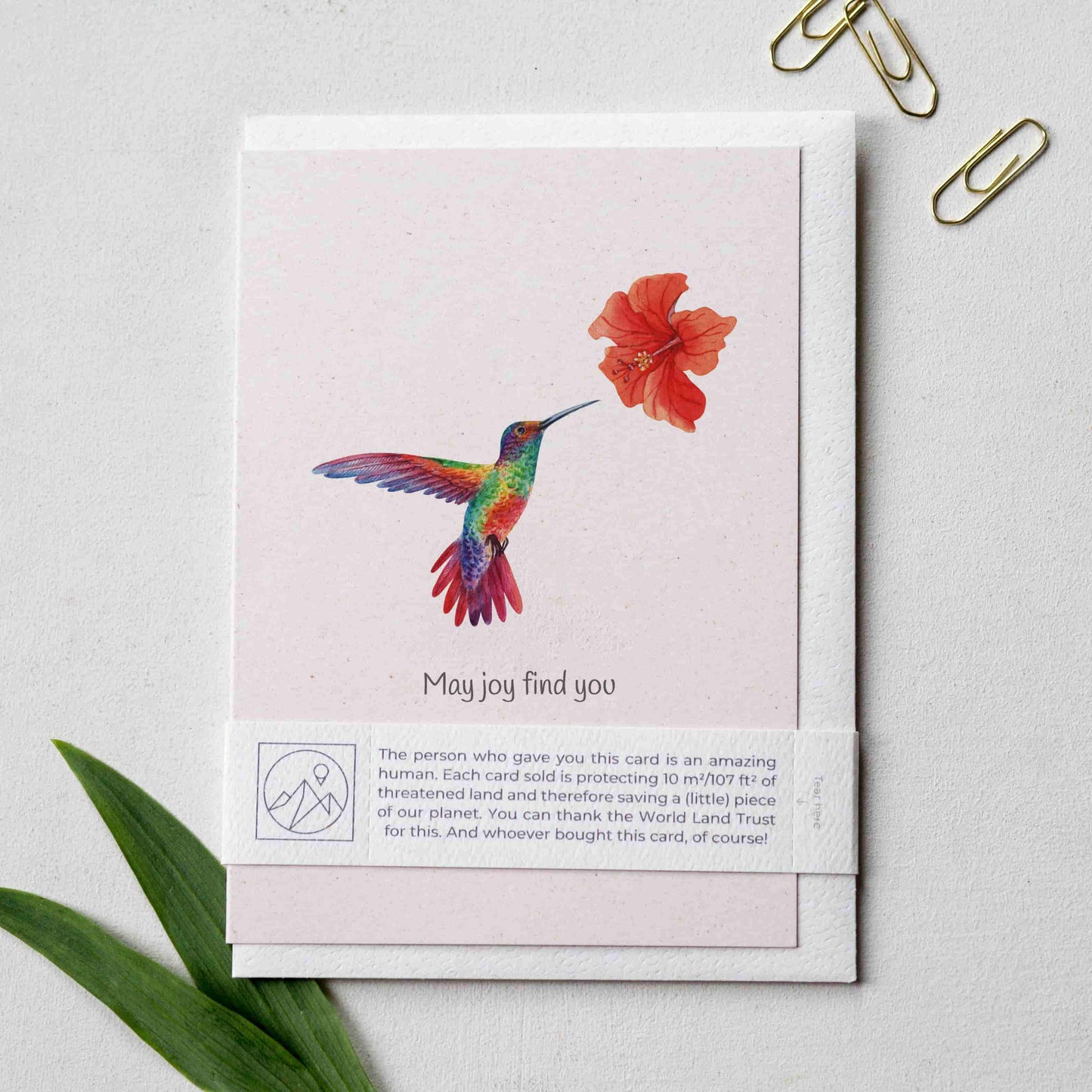 Greeting card that gives back with a colourful hummingbird and a red flower.