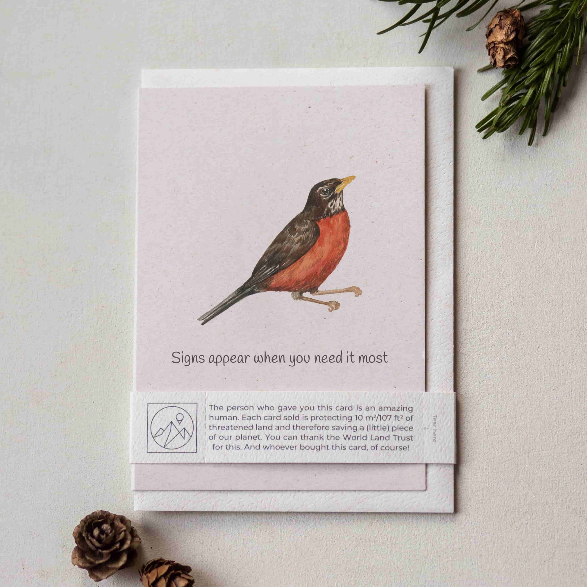 Sympathy card featuring a robin illustration with a matching envelope and paper band.