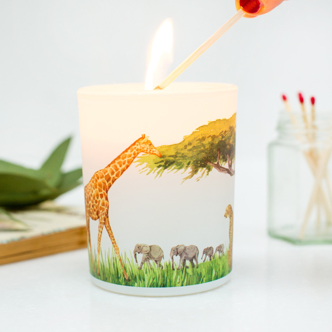 Using a match to light the Grassland sustainable soy candle with detailed savanna wildlife illustration. A positive, eco-friendly gift nature lovers.