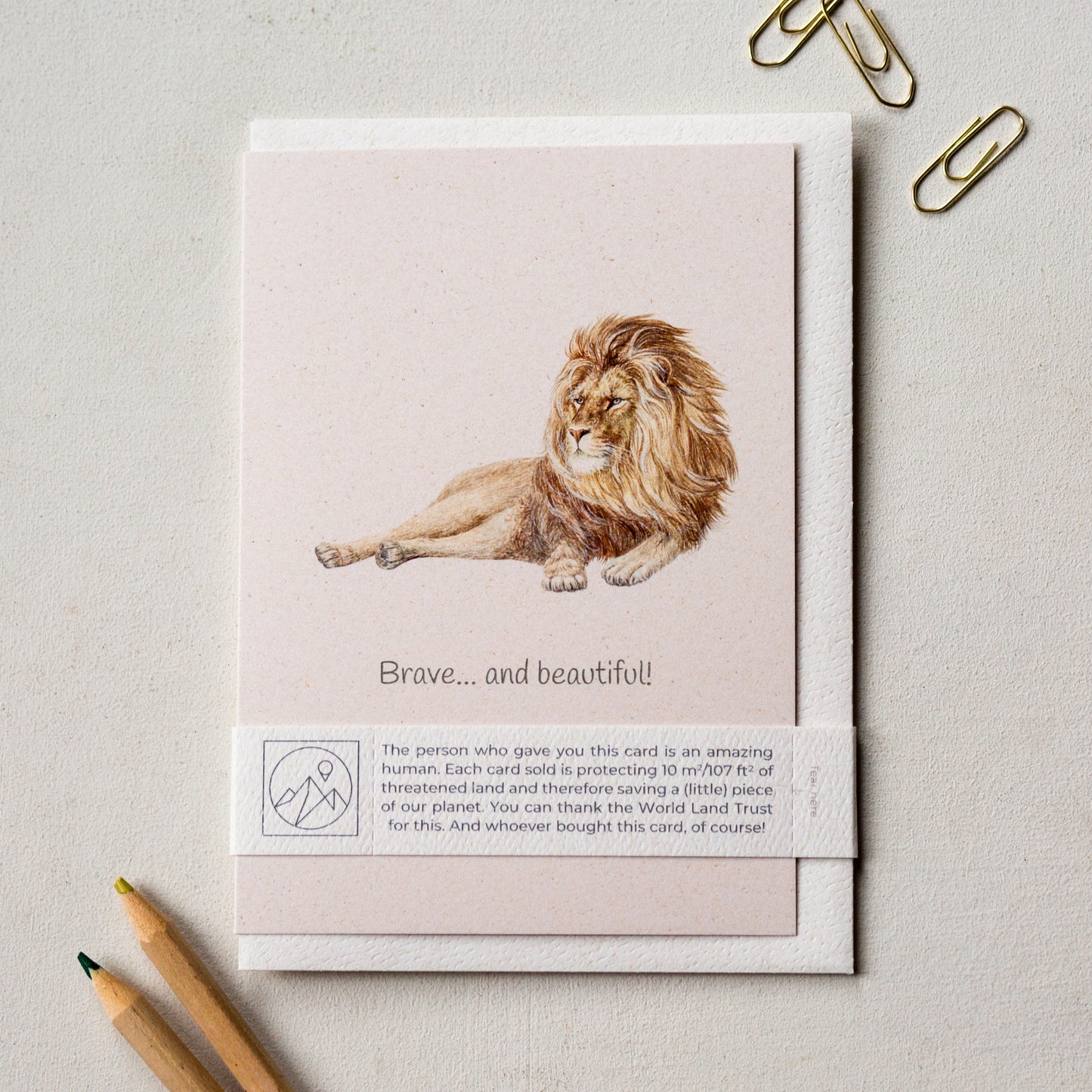 Hand painted lion encouragement greeting card displayed flat with envelope and paper band, empowering animal card