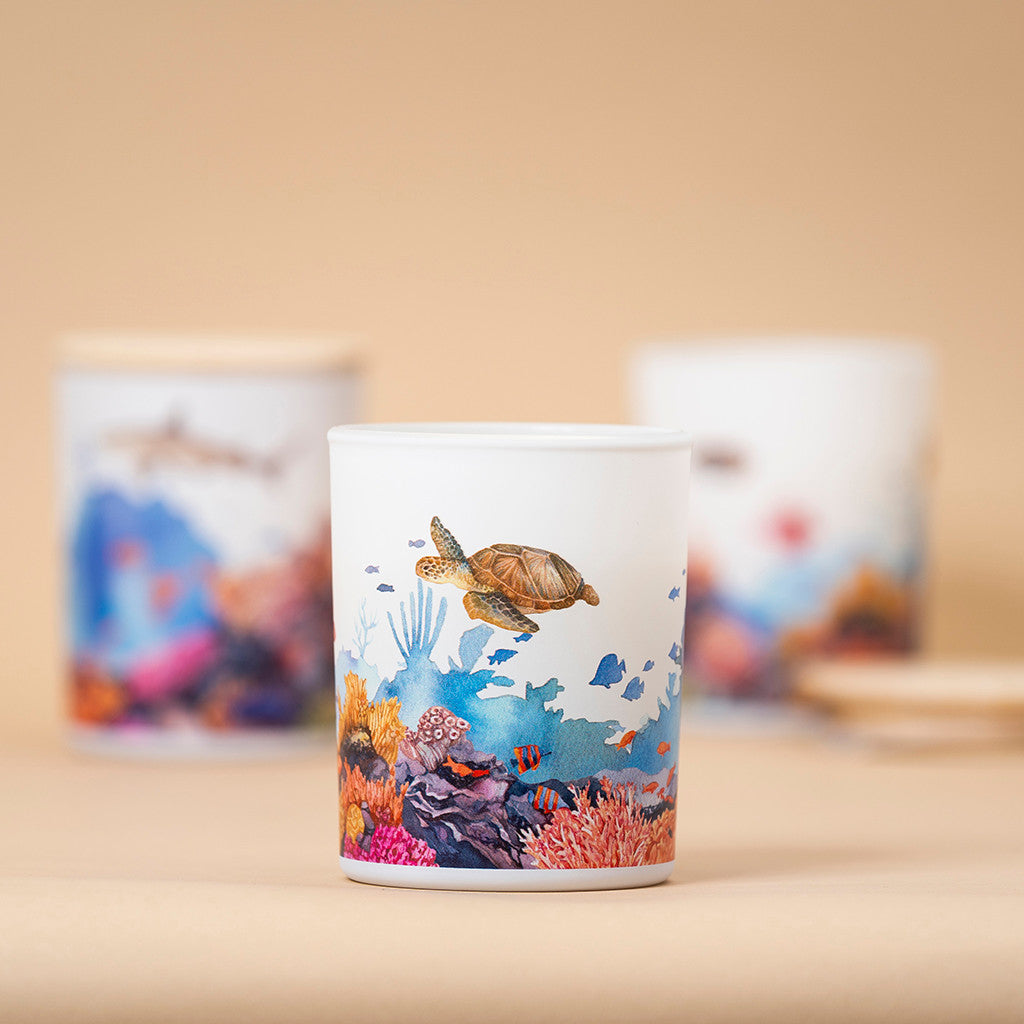 Marine soy candle featuring a 360-degree wildlife illustration with a colourful coral reef and a sea turtle, inspired by the Great Barrier Reef.