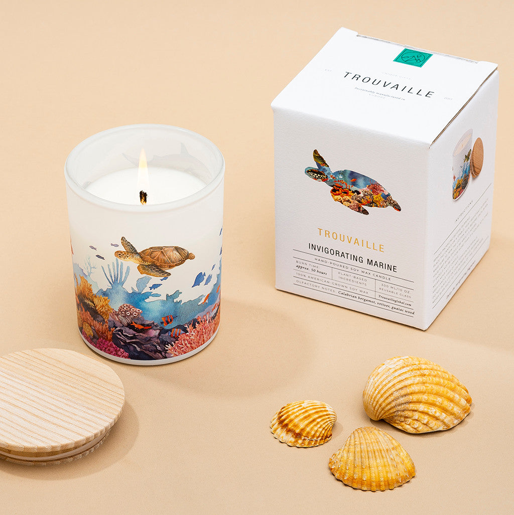 Lit Marine natural soy candle with eco-friendly packaging and shells. A refreshing sustainable candle gift for coastal home decor lovers.