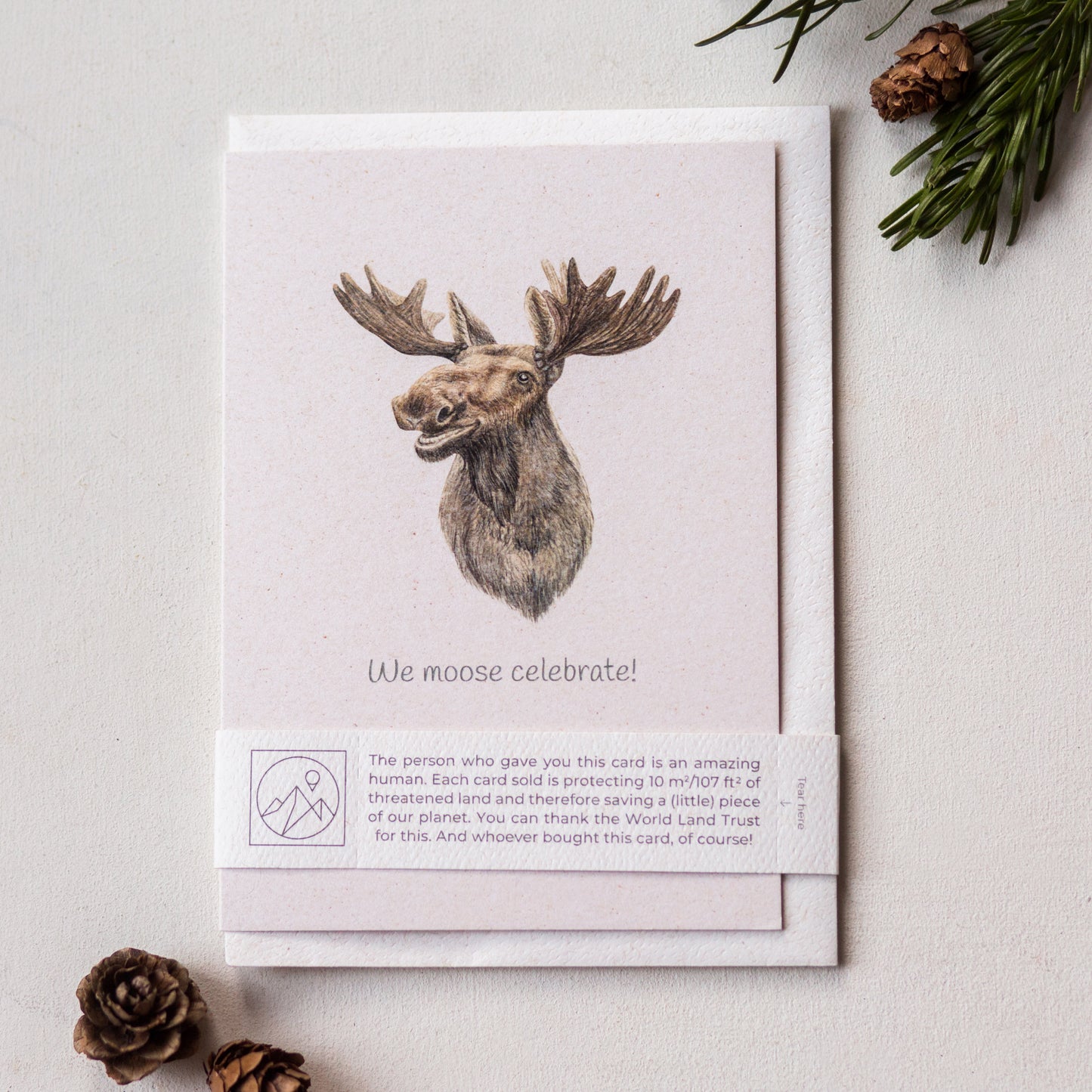 Moose wildlife charity greeting card with recycled envelope and plastic free band, humorous special occasion card