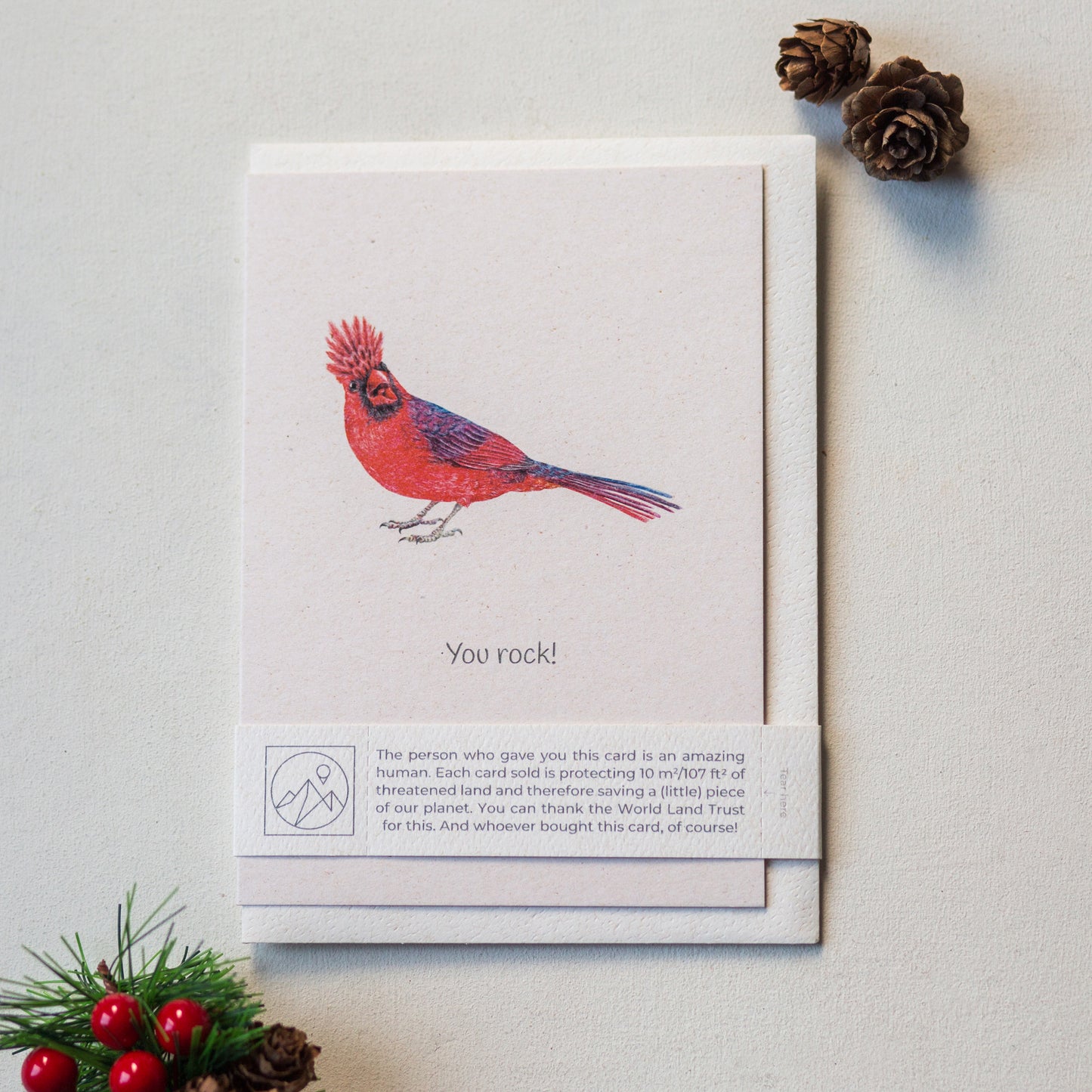 Northern cardinal bird wildlife charity greeting card with recycled envelope and paper band, nature inspired card