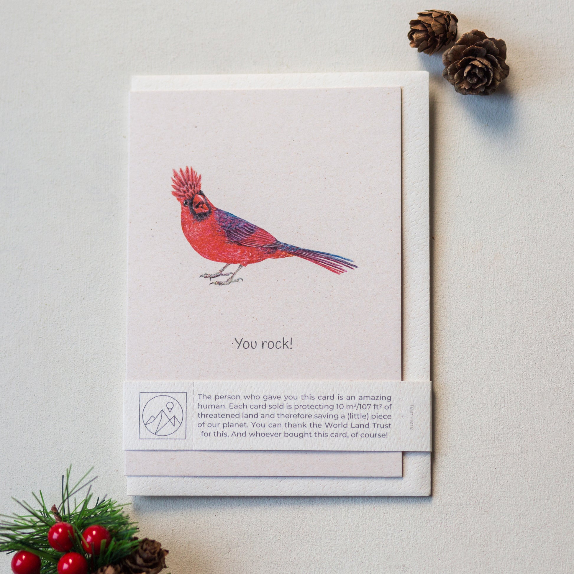 Northern cardinal bird wildlife charity greeting card with recycled envelope and paper band, nature inspired card