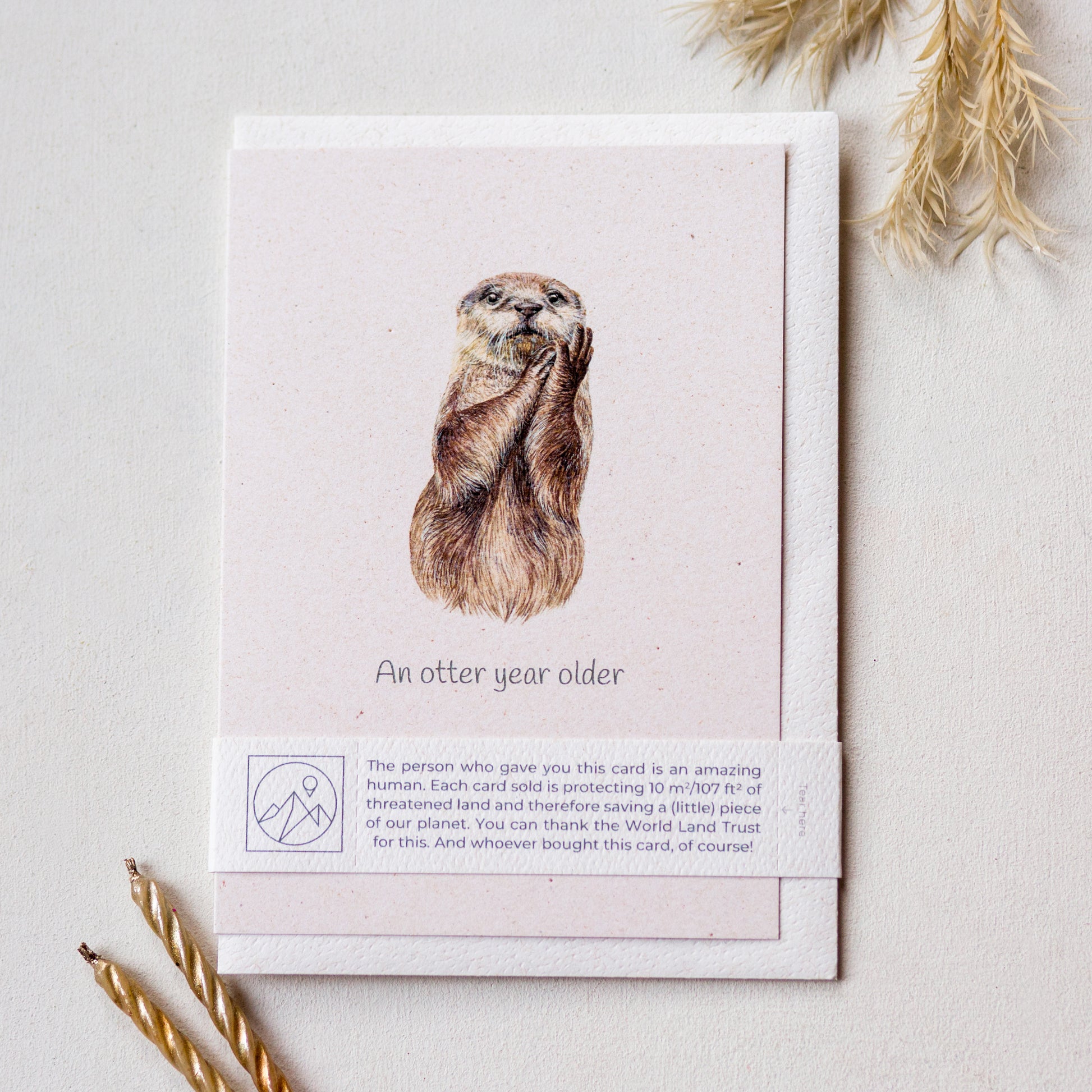Otter wildlife charity greeting card with recycled envelope and plastic free band, cute birthday card for animal lovers
