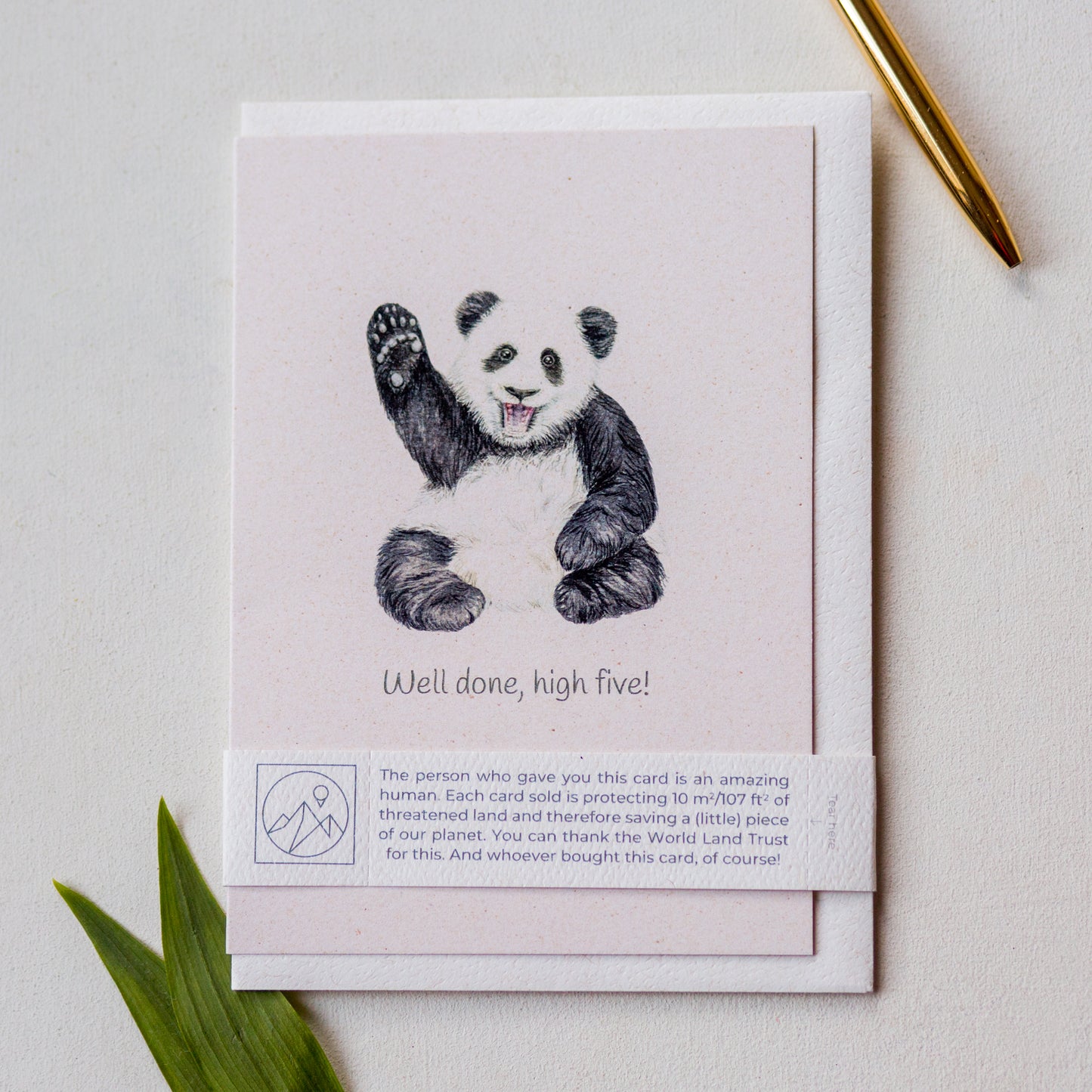 Hand painted panda congratulations greeting card laid flat with envelope and paper band, cute animal card