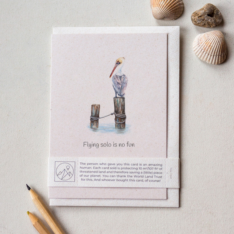 Pelican funny greeting card with recycled envelope and paper band, sustainable wildlife charity card