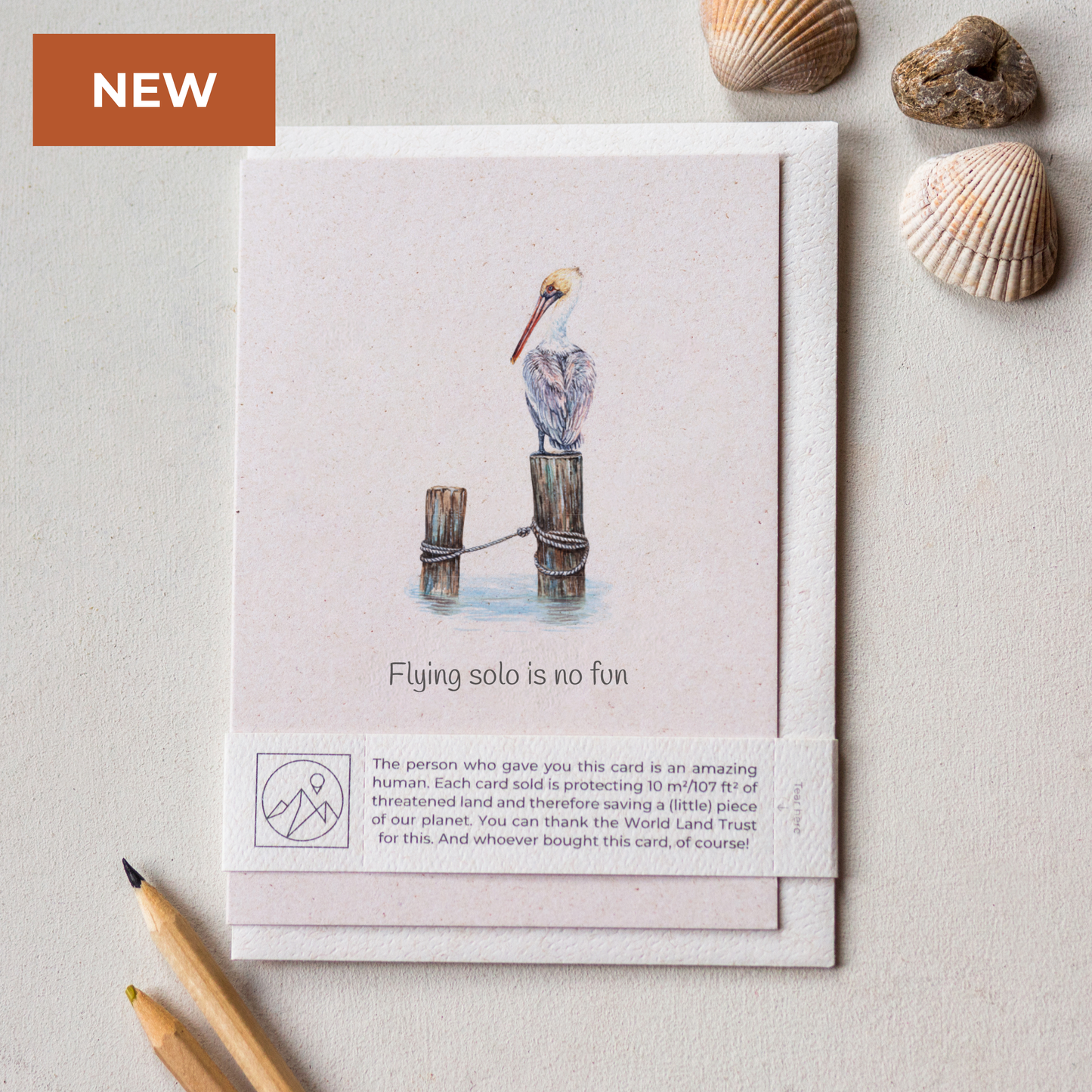 Pelican funny greeting card with recycled envelope and paper band, sustainable wildlife charity card