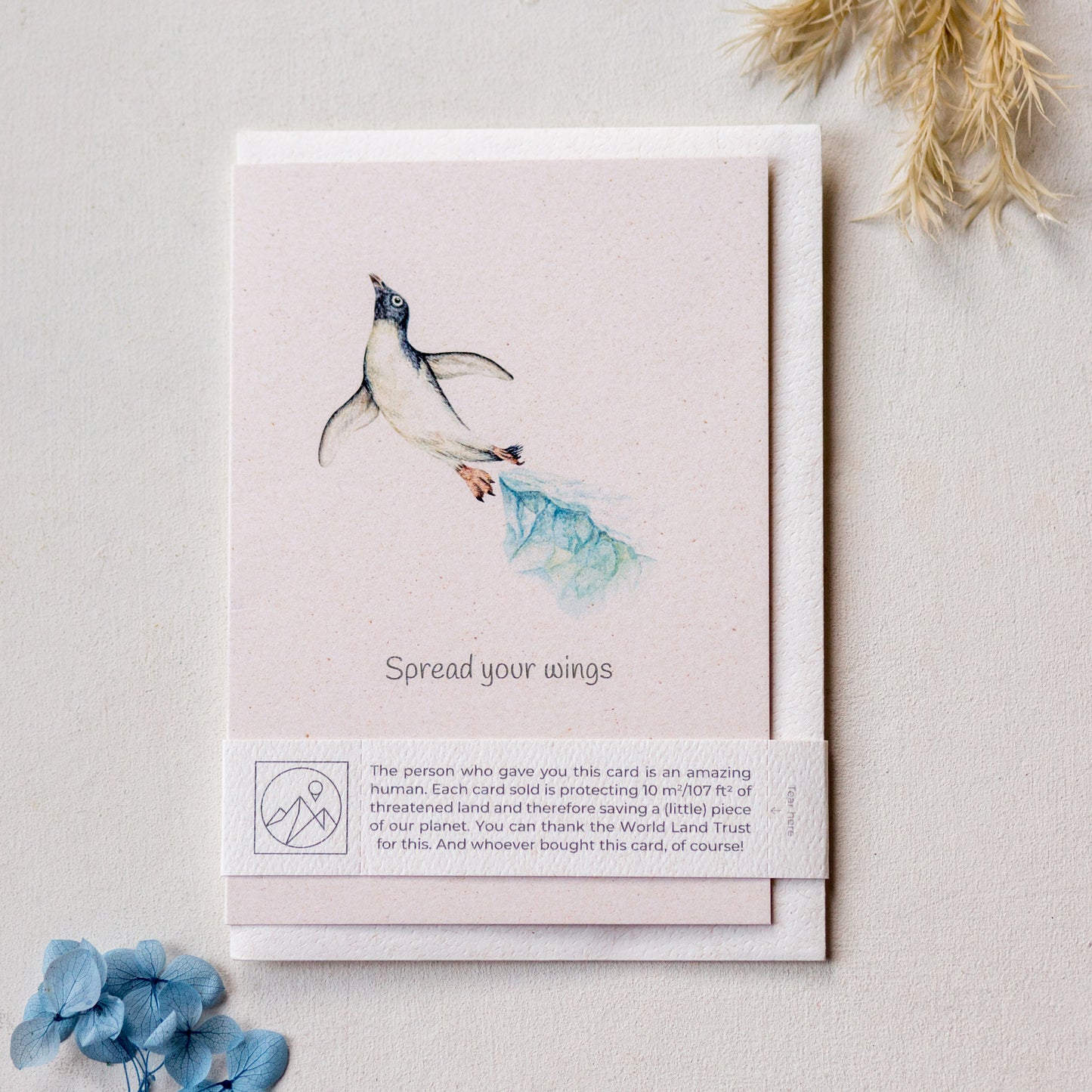 Penguin wildlife give back greeting card with recycled envelope and plastic free band, eco friendly card for animal lover