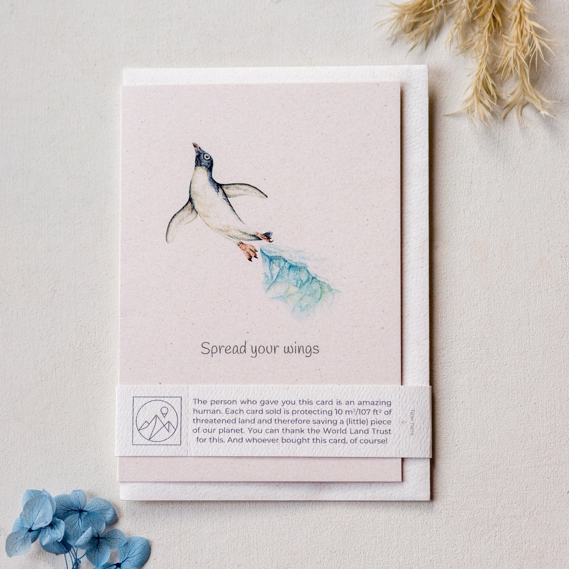 Penguin wildlife give back greeting card with recycled envelope and plastic free band, eco friendly card for animal lover