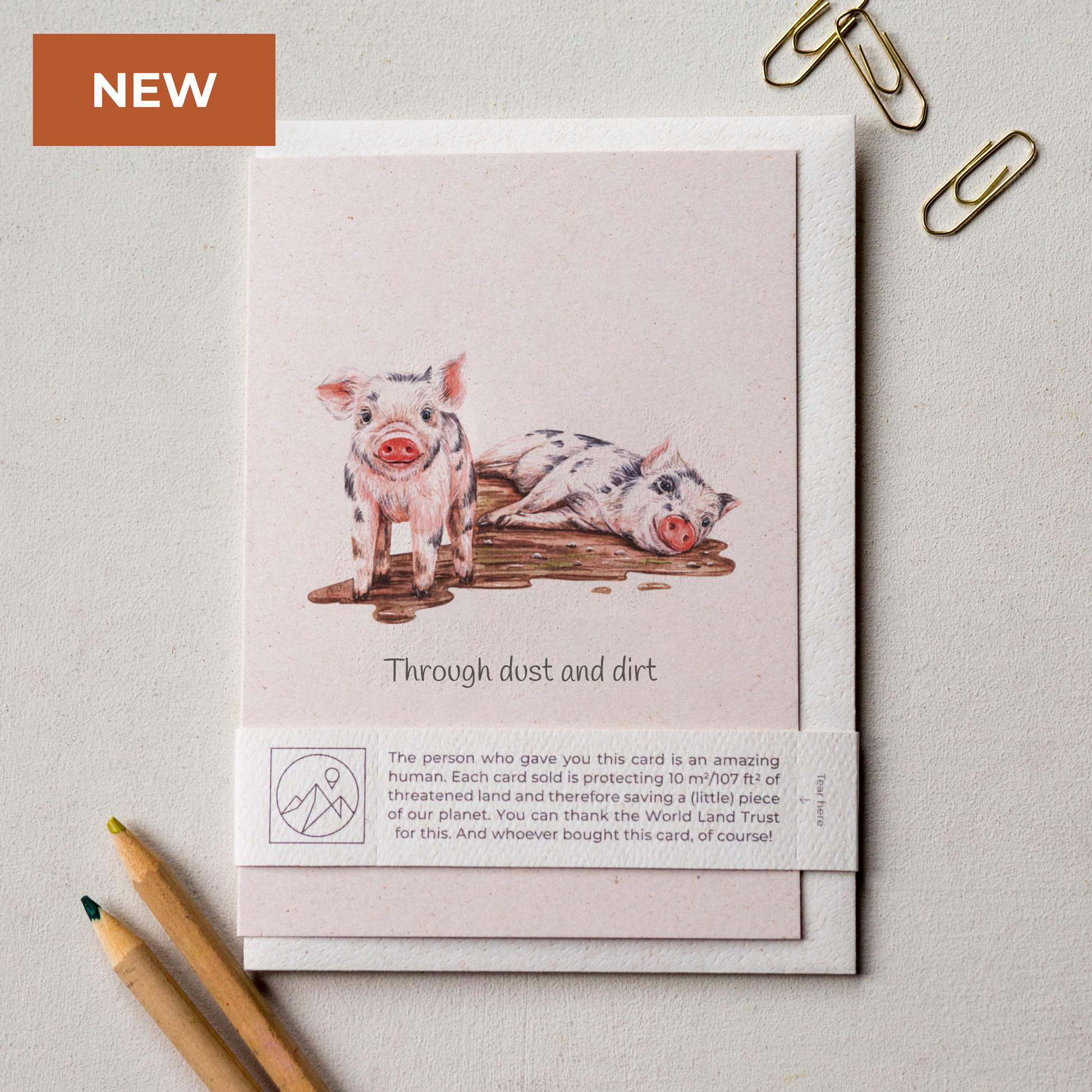 Hand painted piglets friendship greeting card displayed flat with envelope and paper band, cute farm animal card