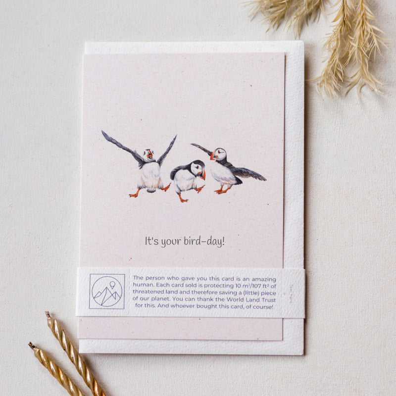 Puffin birthday greeting card laid flat with envelope and paper band, cute puffin card for nature lovers