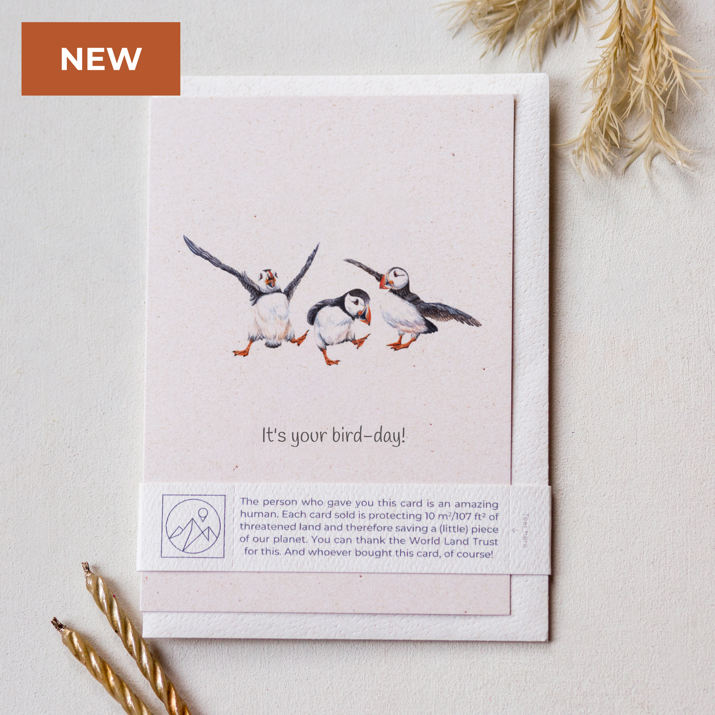 Puffin birthday greeting card laid flat with envelope and paper band, cute wildlife card for nature lovers