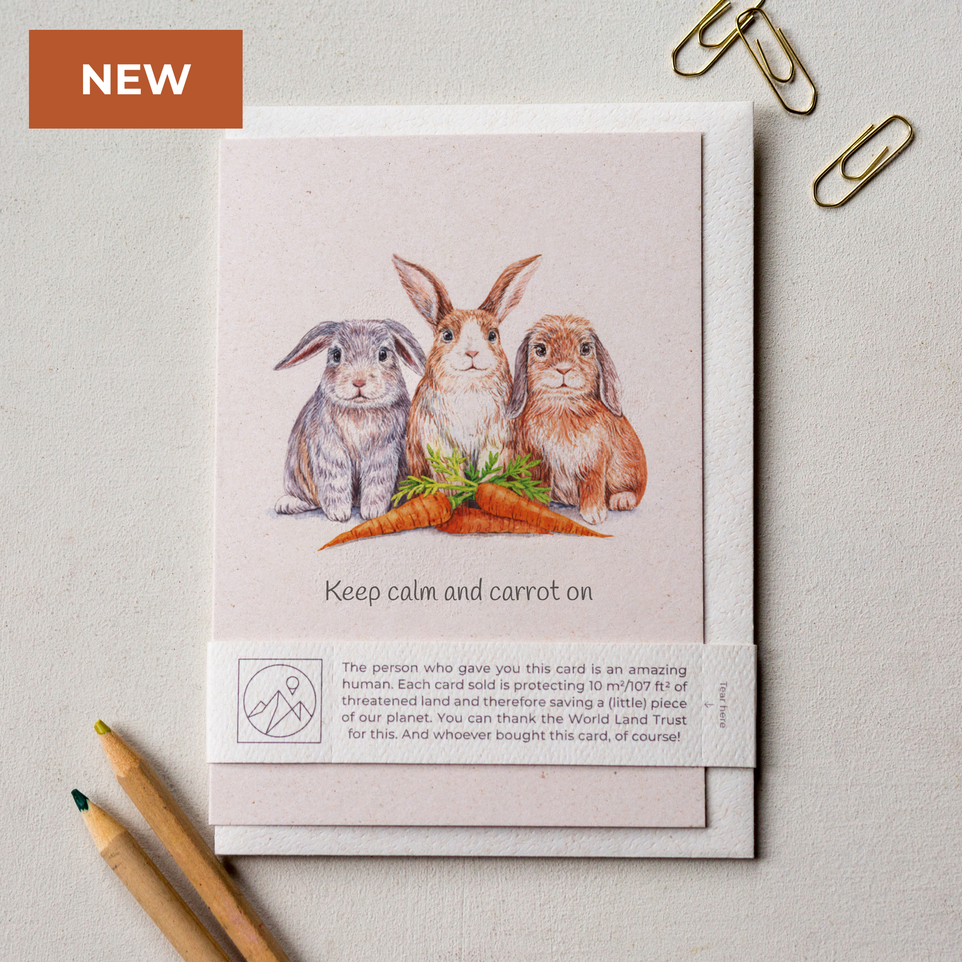 Rabbit motivational keep calm greeting card laid flat with envelope and paper band, cute animal card for nature lovers